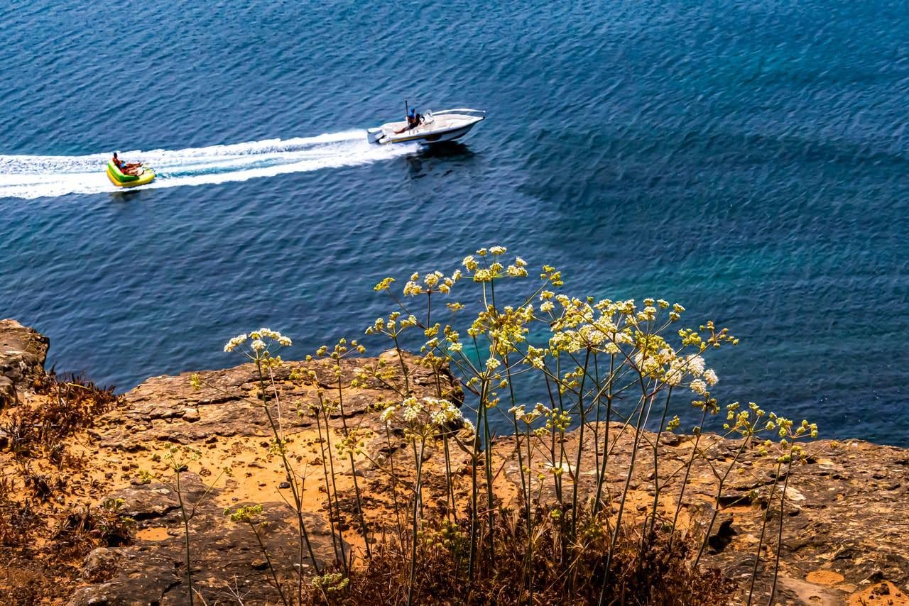 Speedboat pulling a person on an inflatable tube across clear blue water, leaving a white wake. Foreground features rocky cliff edge with dry vegetation and tall flowering plants.