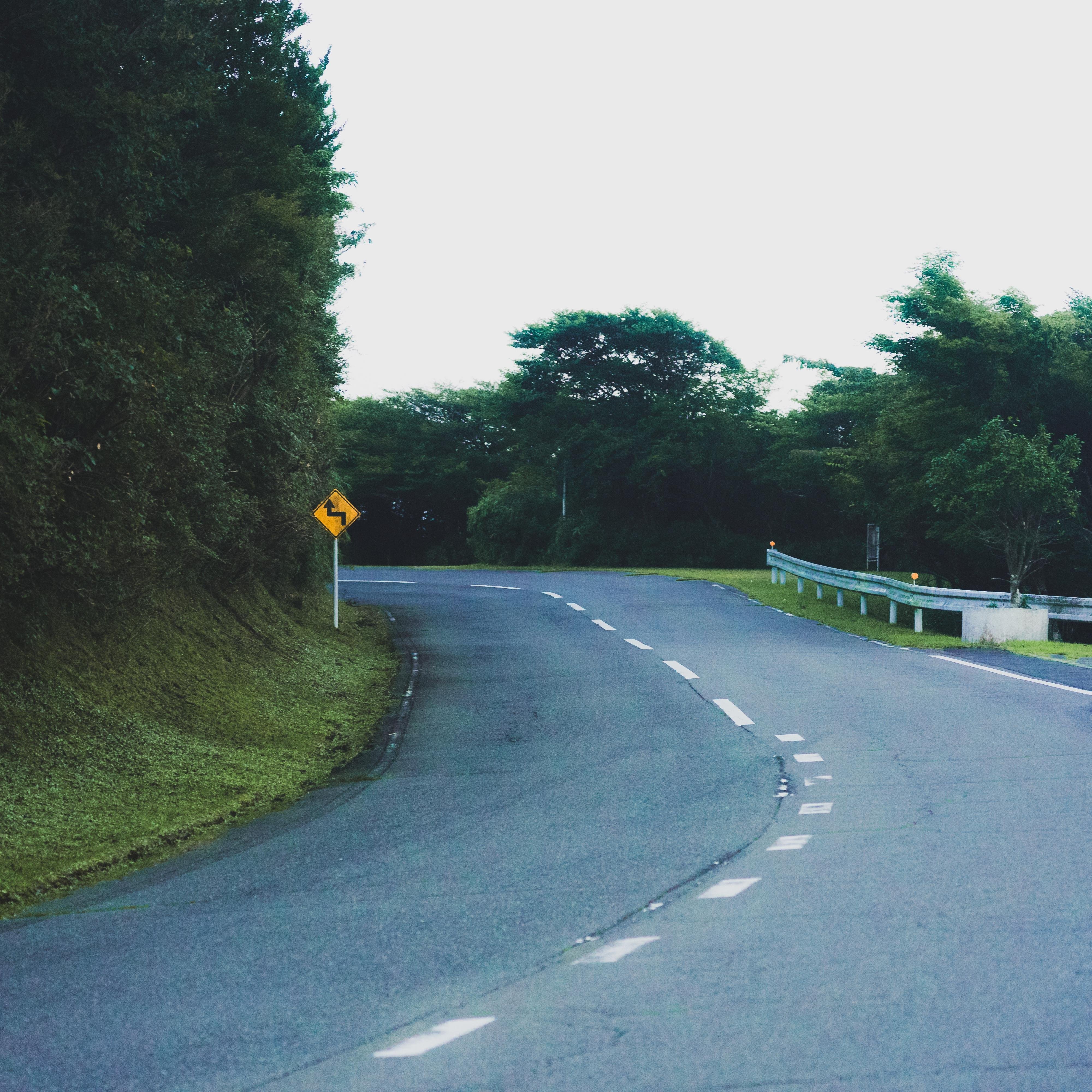 Curved road with dashed white lines, flanked by dense greenery and a metal guardrail on the right. A yellow road sign indicating a winding path is positioned on the left side amidst the trees.