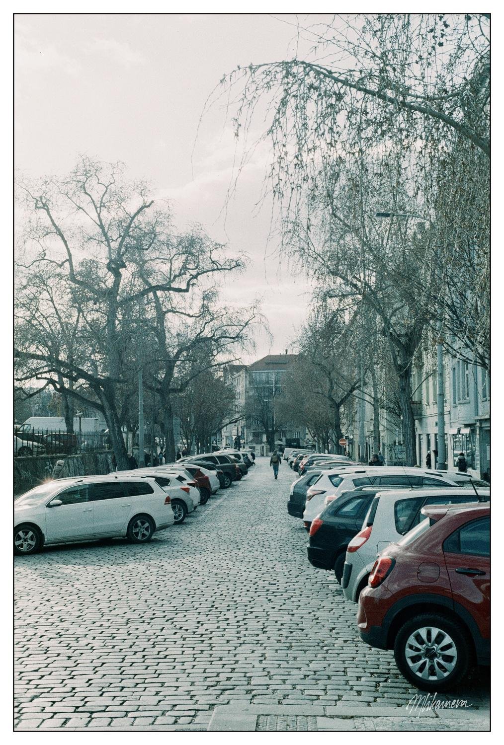 The image depicts a cobblestone street lined with parked cars on both sides. There are bare trees along the street, suggesting a winter or early spring setting. People can be seen walking in the distance, and the buildings in the background have a European architectural style. The atmosphere appears overcast or slightly foggy.