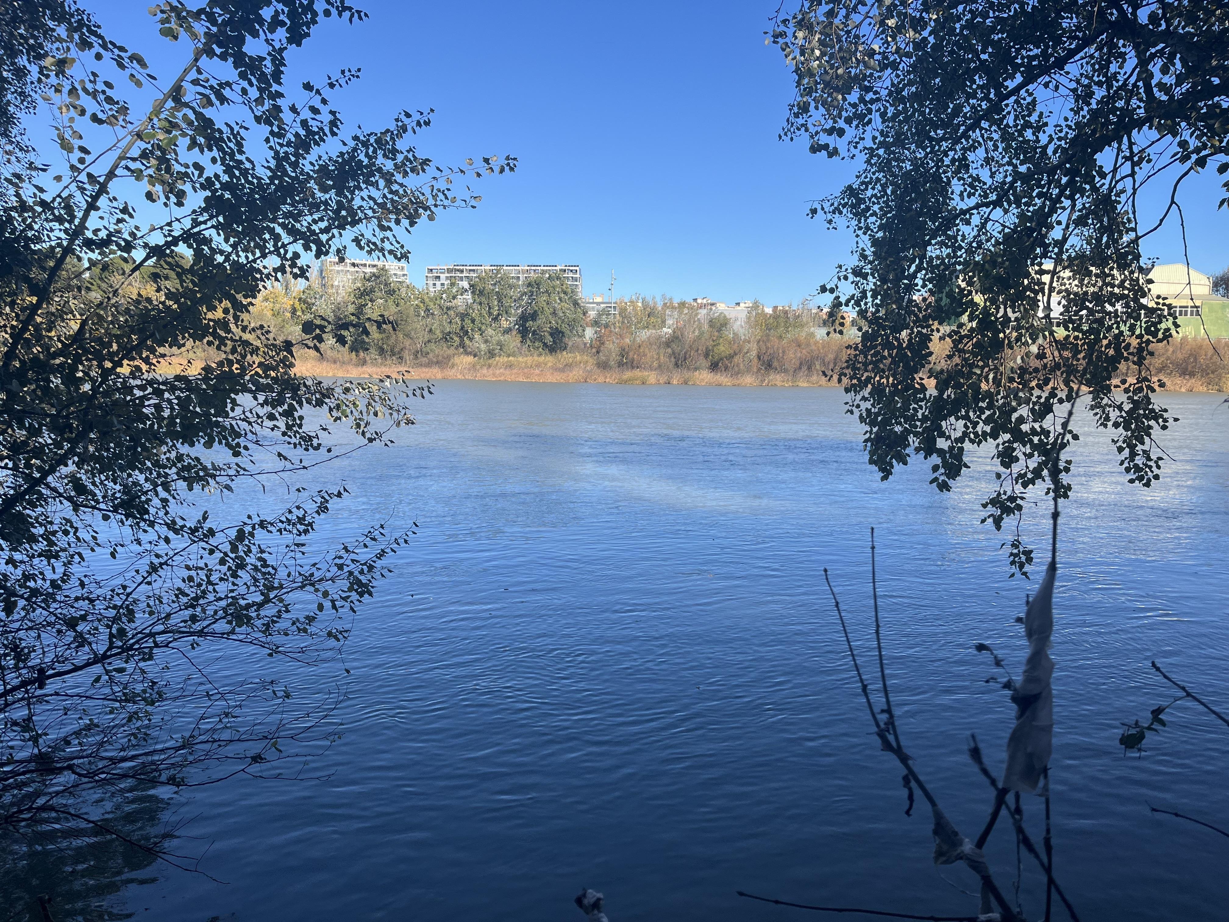 The image shows a body of water of river, surrounded by trees and foliage. In the background, there are some buildings visible above the trees. The sky is clear and blue, suggesting a sunny day.