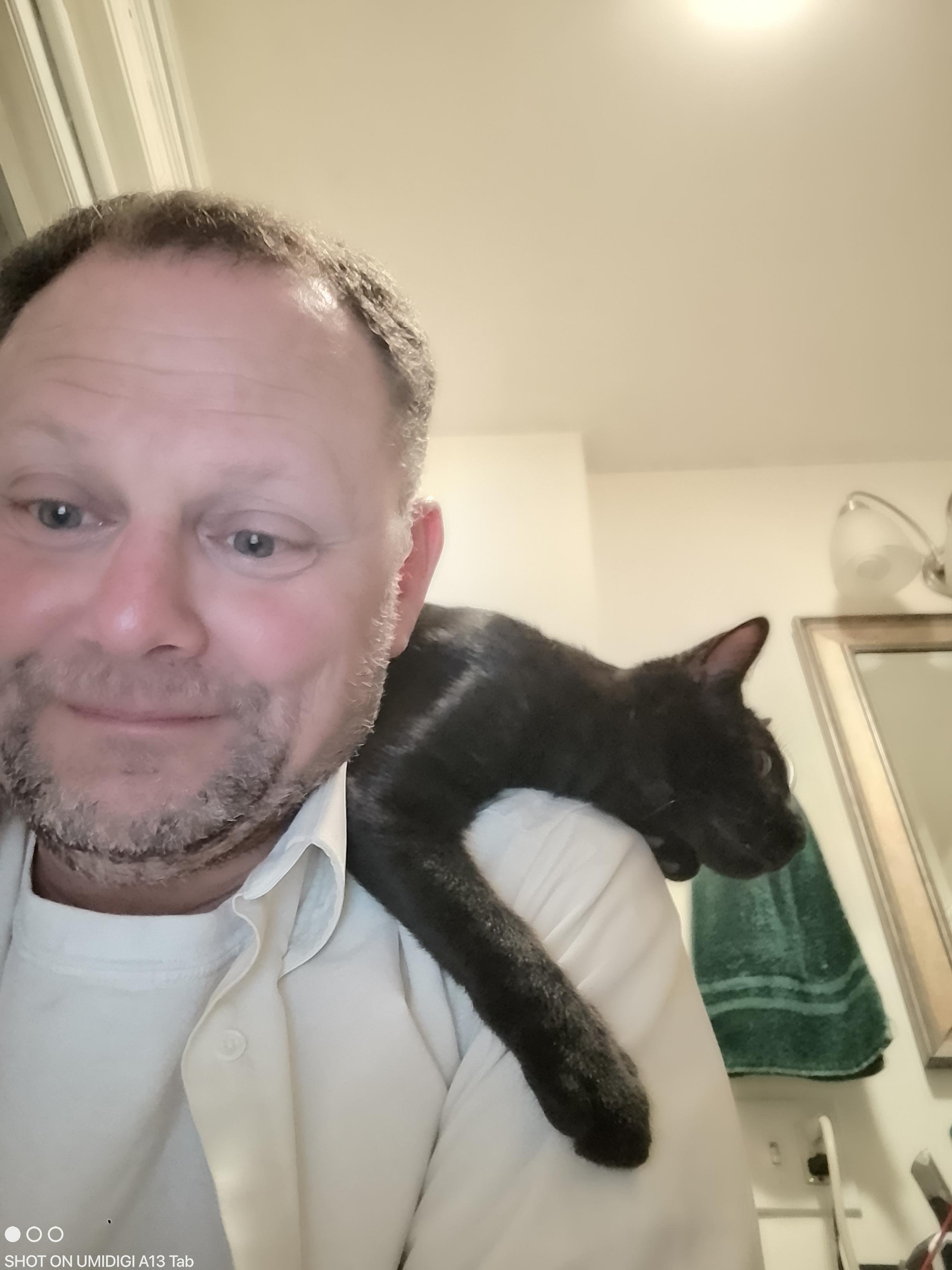 Edward, a young black cat, lounges on my shoulder. 