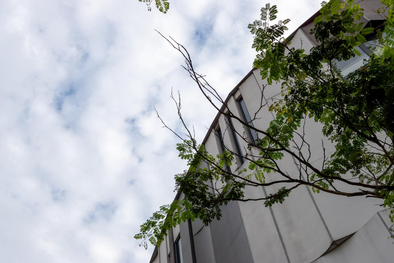 Curved building with white facade and vertical windows on the right, partially obscured by tree branches with green leaves. Overcast sky with scattered clouds in the background.