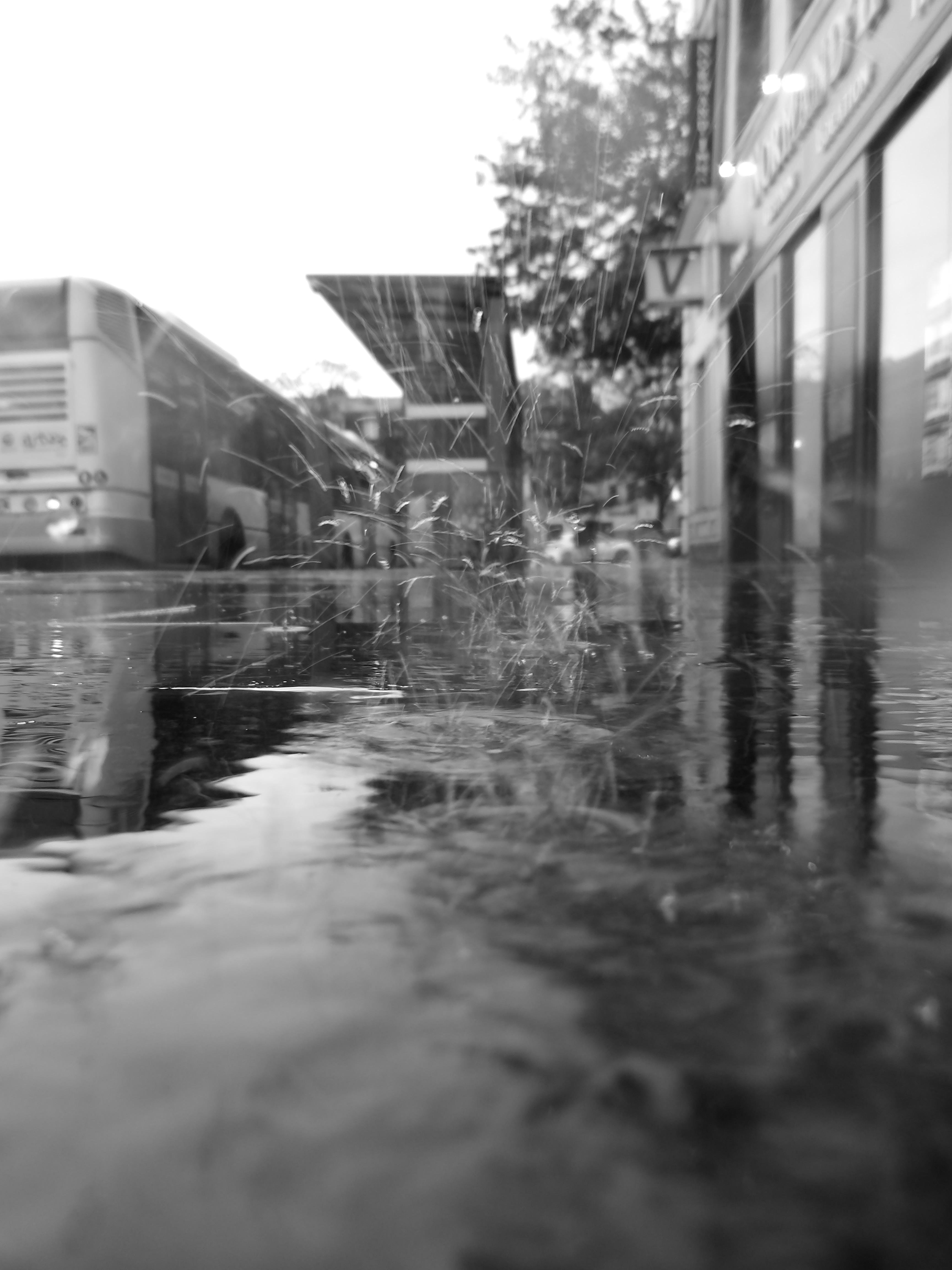 The image shows a black and white street scene on a rainy day. There is a bus on the left side, a bus stop, and buildings on the right. Rain is falling, creating ripples in a puddle in the foreground. The composition captures the reflection of the surroundings in the water.