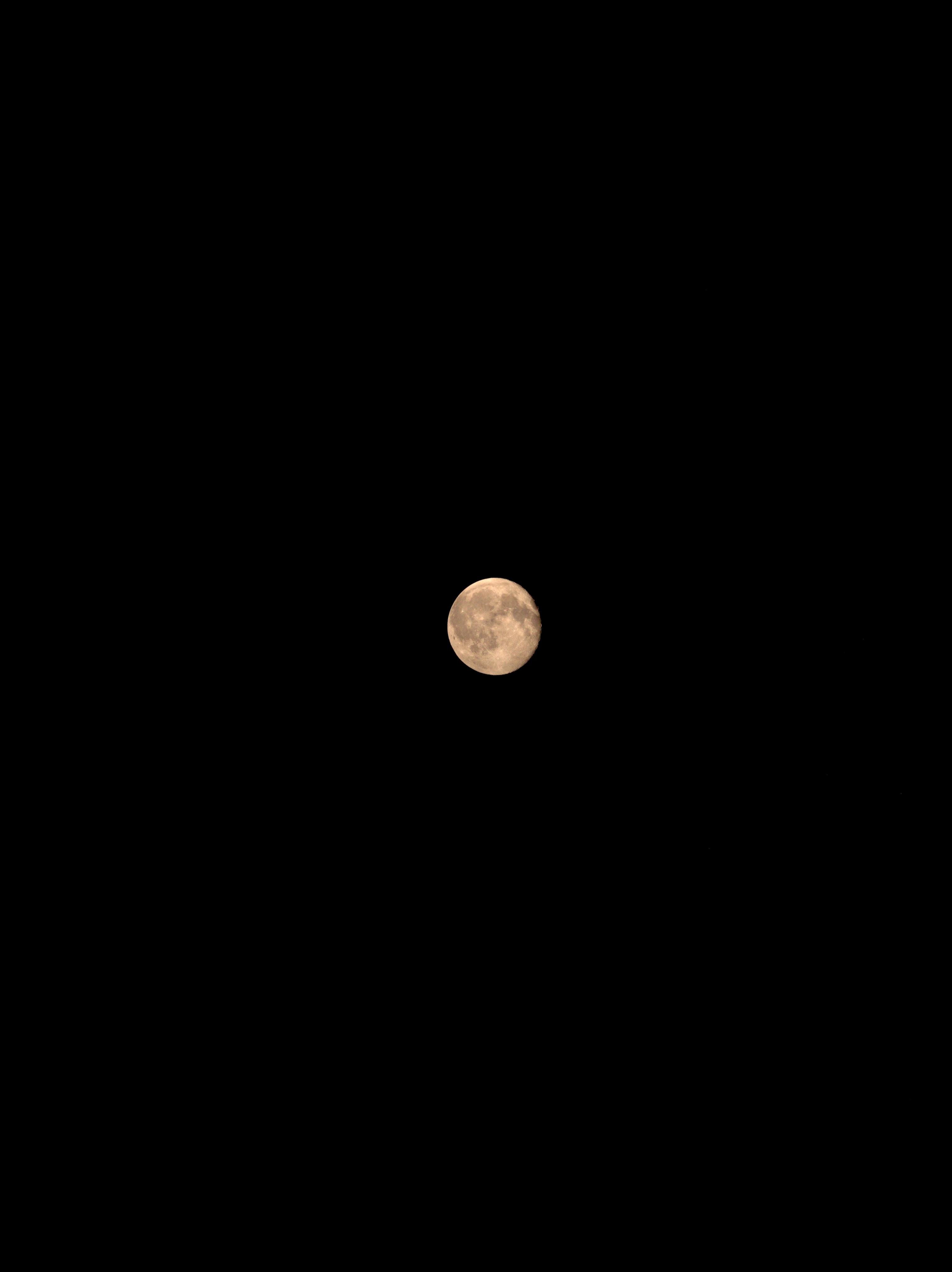 Nearly full moon with visible surface craters, centered against a solid black night sky.