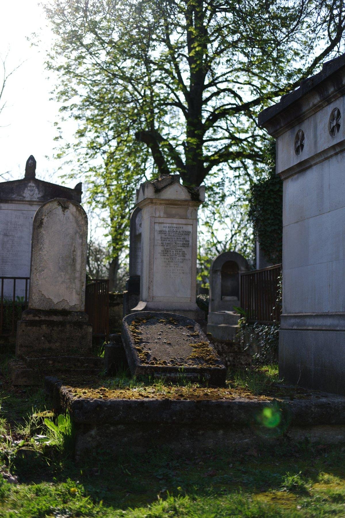 Photo verticale. Une tombe avec sa stèle qui a basculé vers l’arrière, le tout noirci par le temps et couvert de mousse, éclairé par le soleil de la golden hour. Derrière d’autres stèles, mais blanches contraste avec celle de la scène.