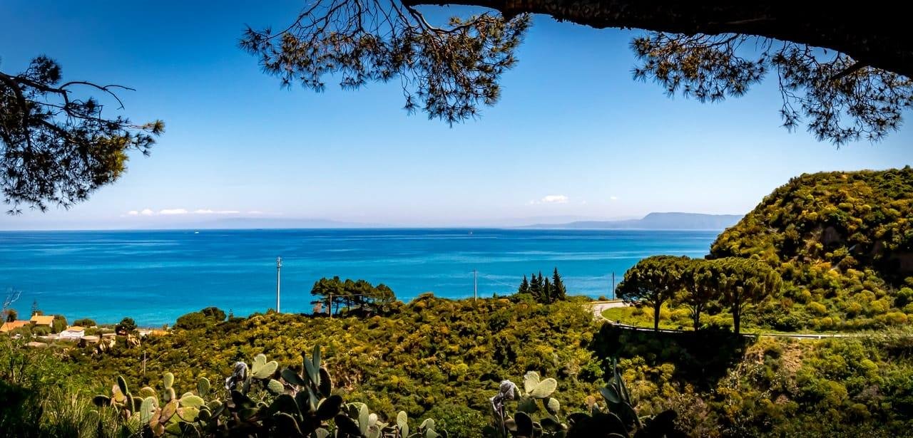 Coastal landscape with a turquoise sea and clear blue sky, viewed from a hillside covered in shrubs and cactus; a winding road and tall trees on the right, with pine branches framing the top and a distant coastline on the horizon.