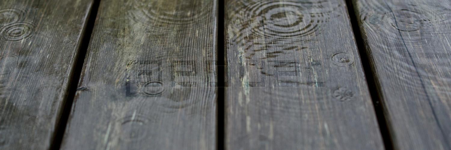 header profile