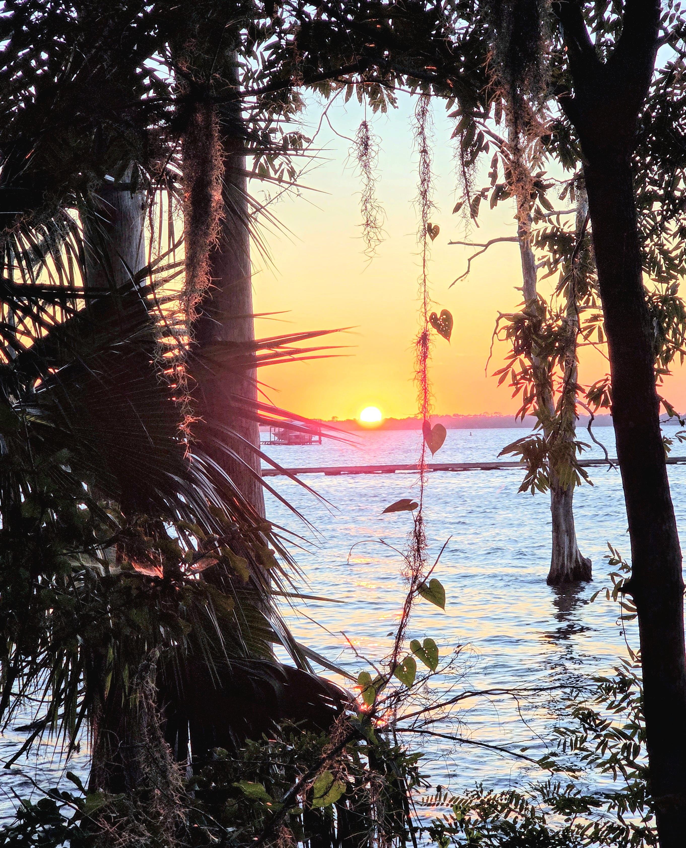 Sunset over a river framed by silhouetted trees and hanging vines. Palm fronds and foliage form a natural archway in the foreground. The horizon glows with orange and pink hues as the sun dips below, casting reflections on the water's surface.
