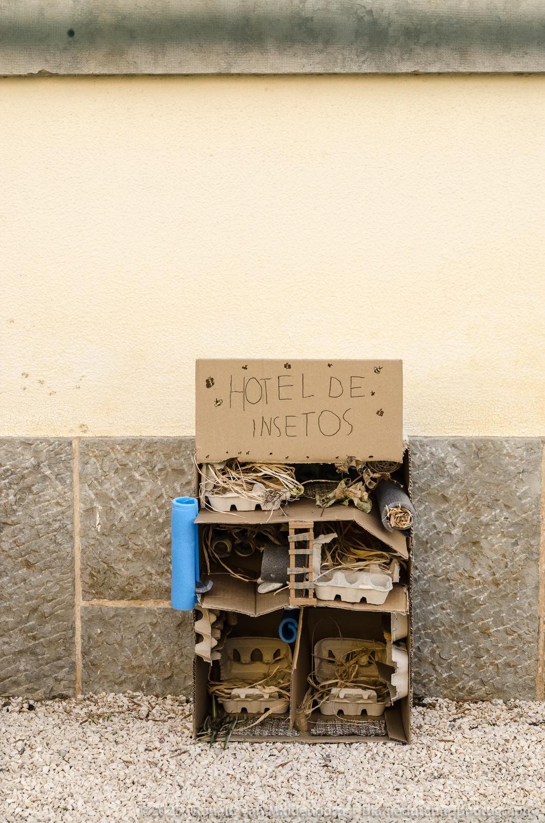 Handmade insect hotel made from a cardboard box filled with egg cartons, straw, twigs, and tubes, leaning against a wall; a cardboard sign on top reads “HOTEL DE INSETOS,” with pebbles on the ground below.