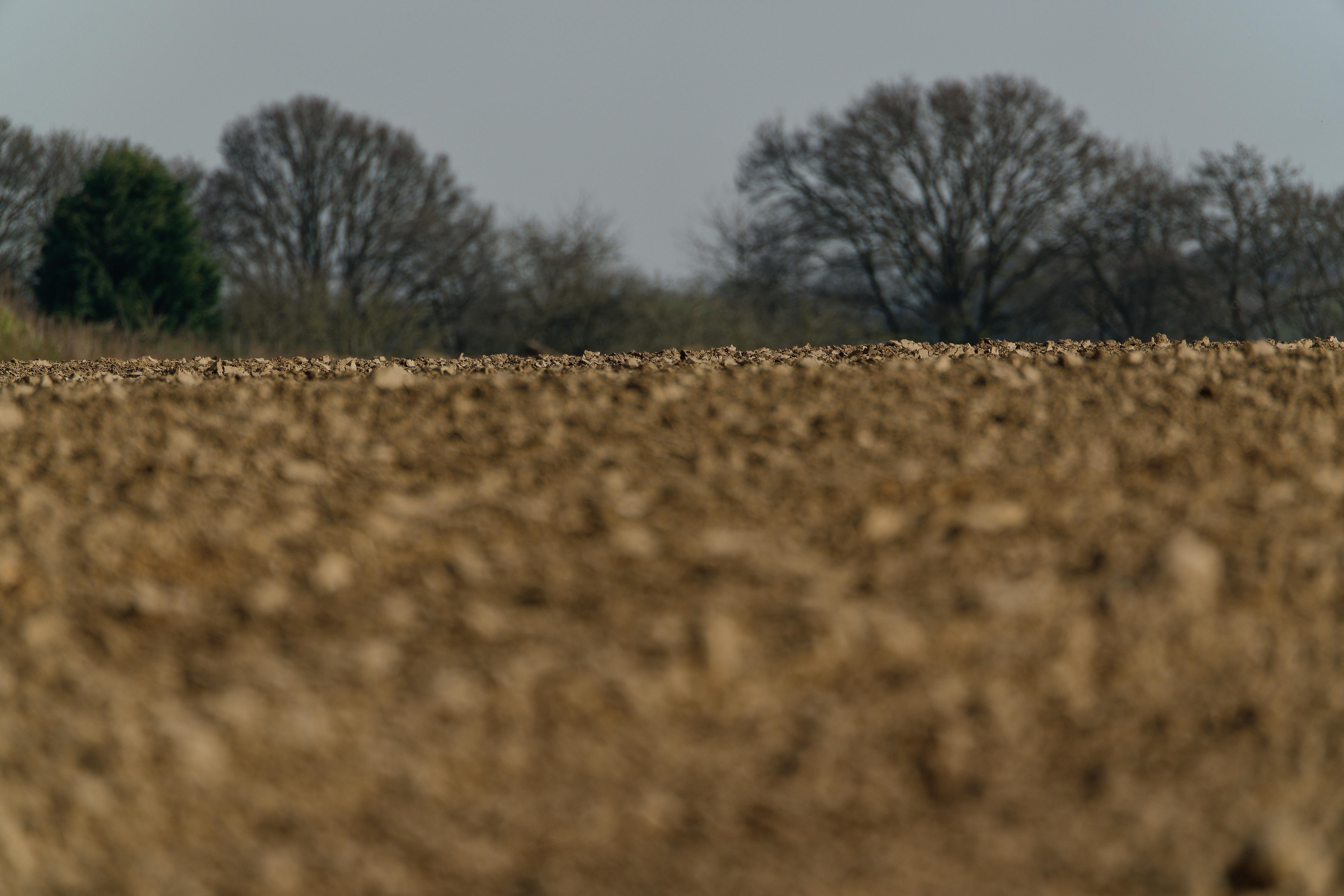 A hilly rim of plowed earth and foresty background
