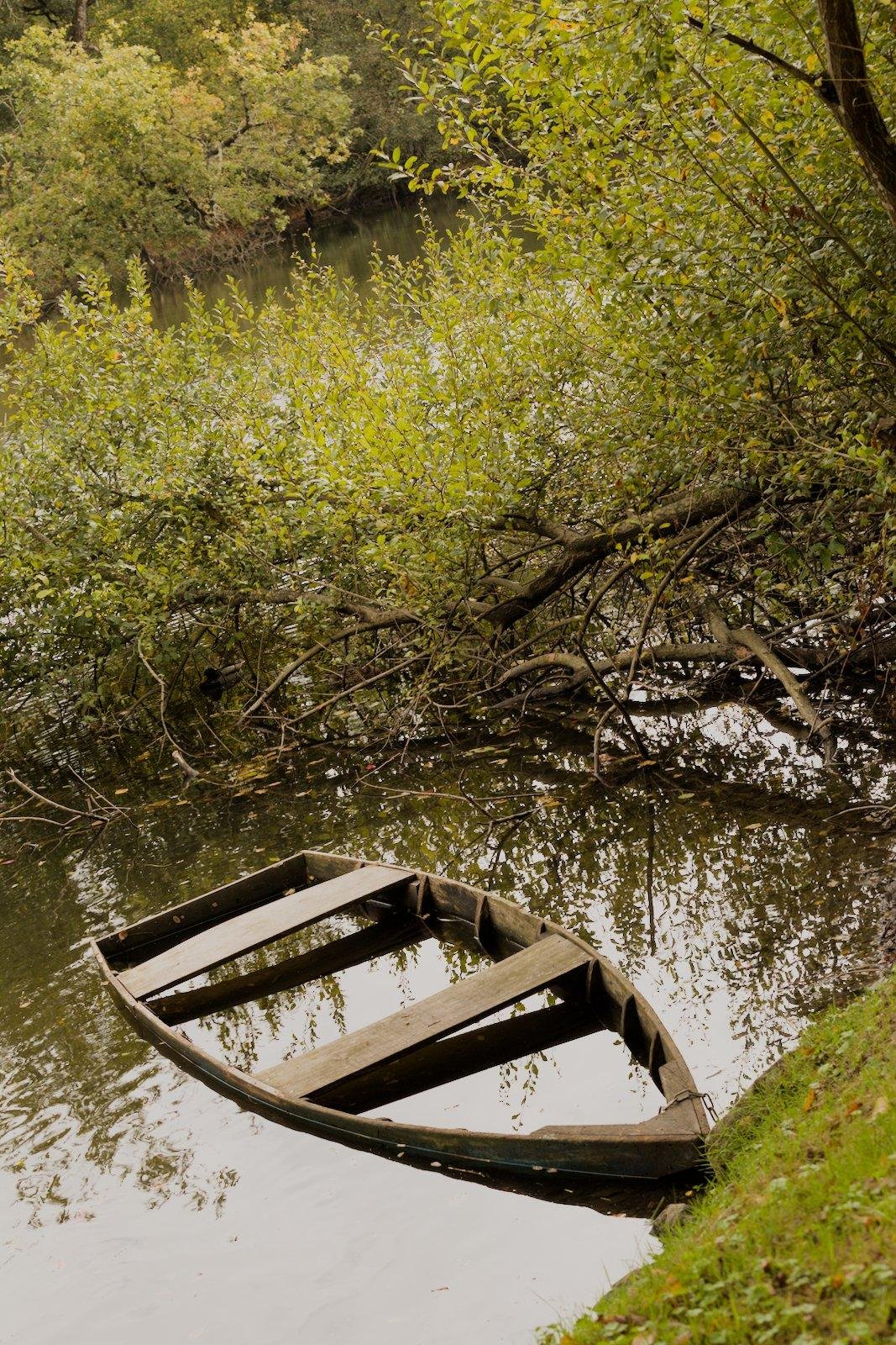 Photo format portrait d’une vieille barque en bois qui est remplie d’eau dans la rivière, cachée par des branches d’arbres qui s’avancent sur l’eau