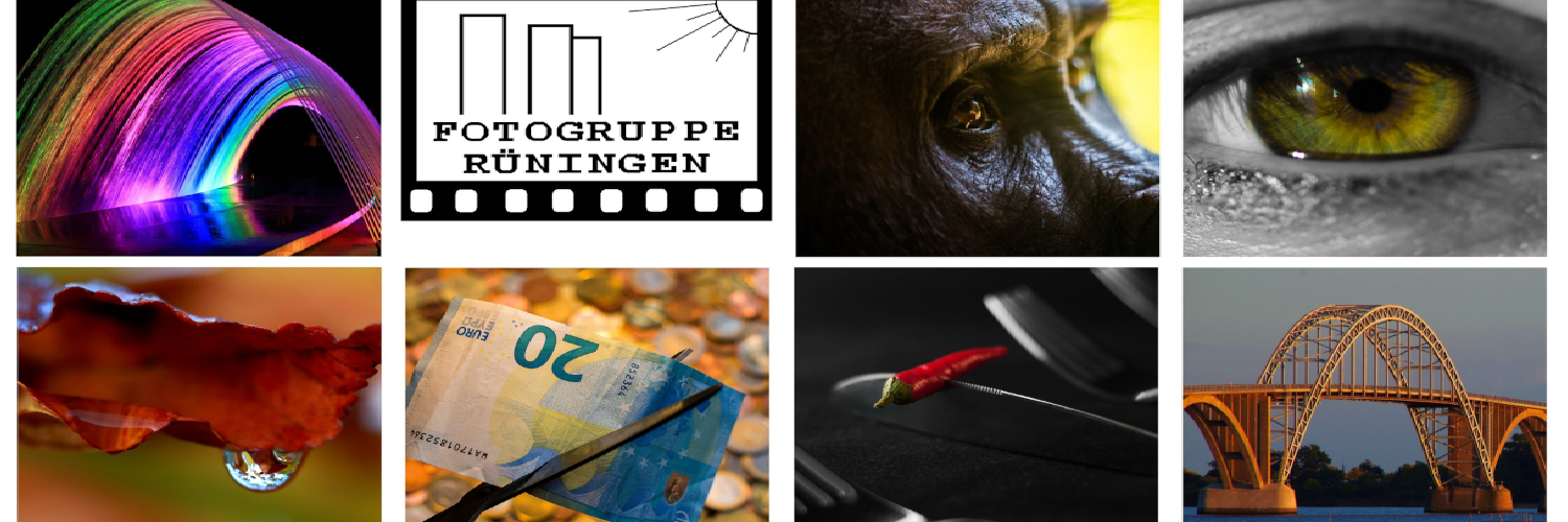 header profile