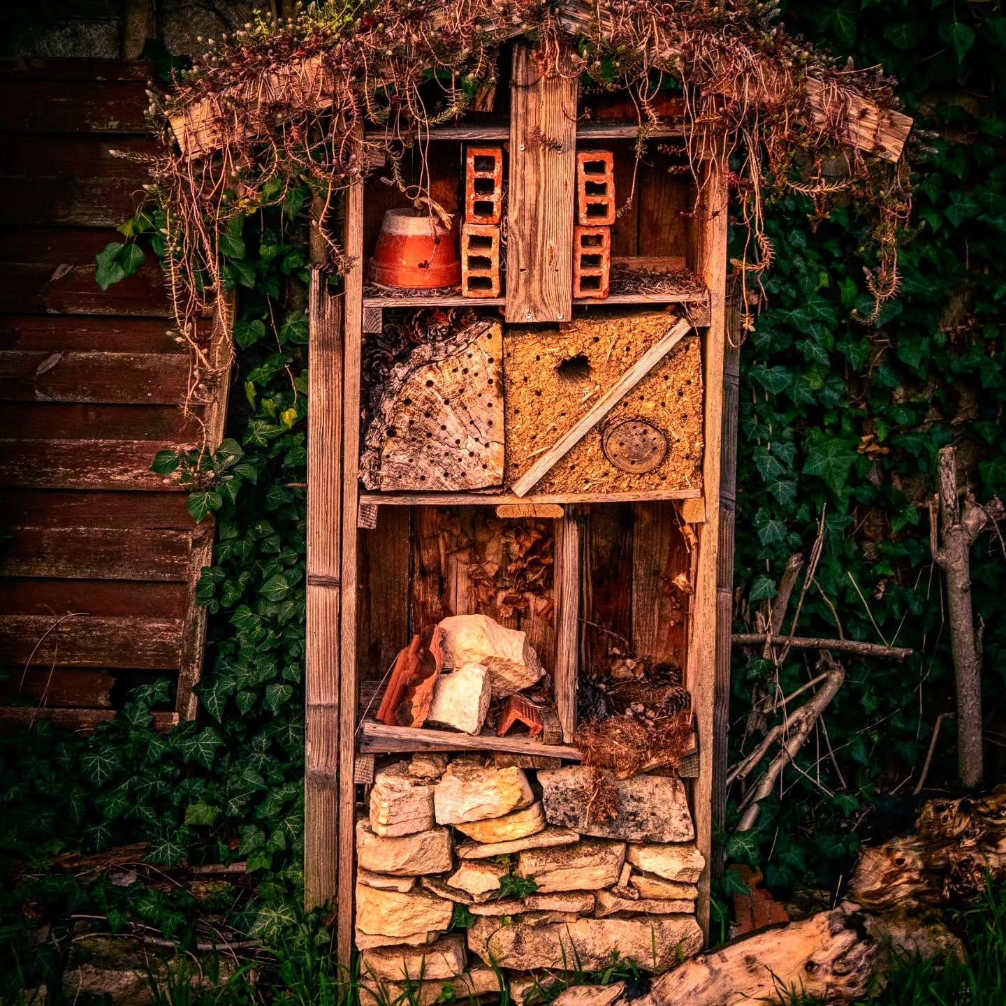 This image shows an insect hotel, a man-made structure designed to provide shelter for various types of insects. It is constructed from natural materials like wood, bricks, logs, and stones, and is often used to encourage biodiversity in gardens. The structure comprises various compartments filled with different materials to attract specific insect species.