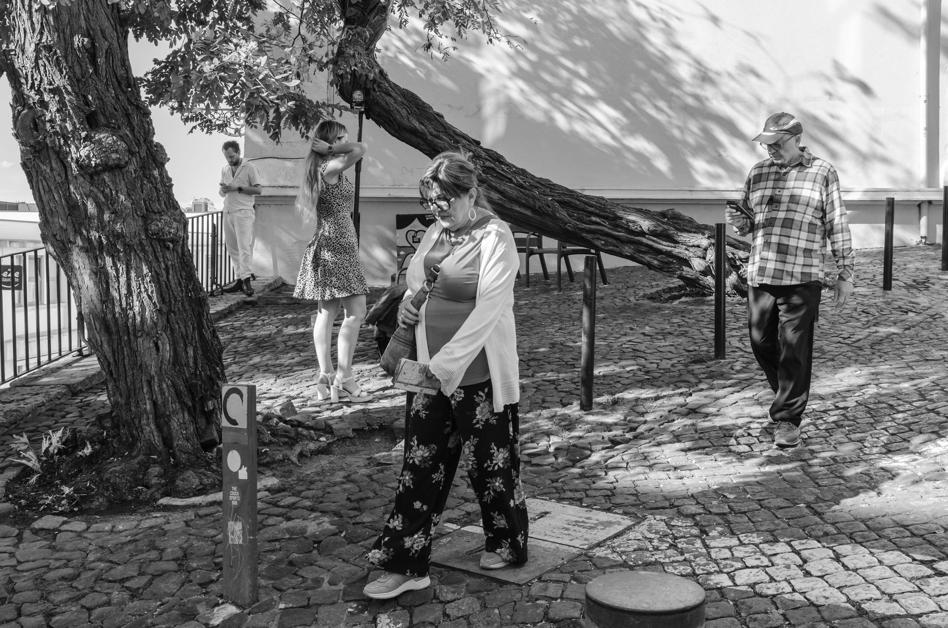 Black-and-white street scene on a cobblestone walkway under a large leaning tree: an older woman with glasses and a shoulder bag stands in the foreground, a man in a plaid shirt and cap walks while looking at his phone on the right, and two people stand near a railing in the background; short posts line the path beside a light-colored wall.