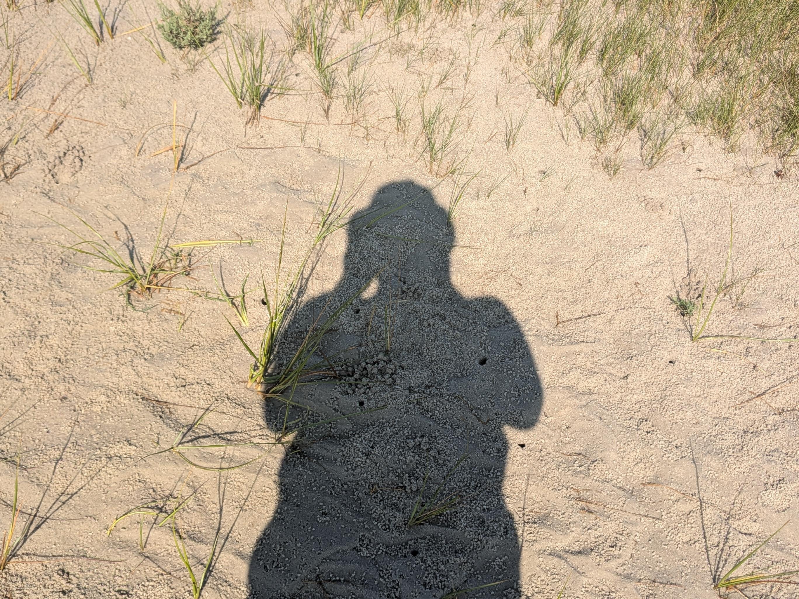Status image