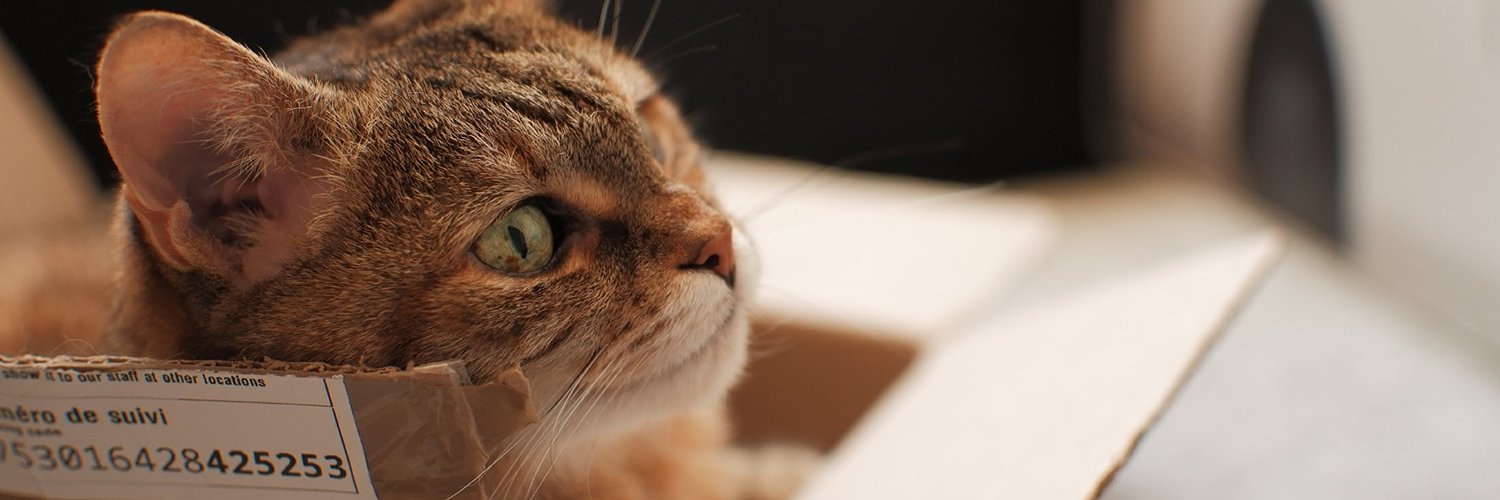 header profile