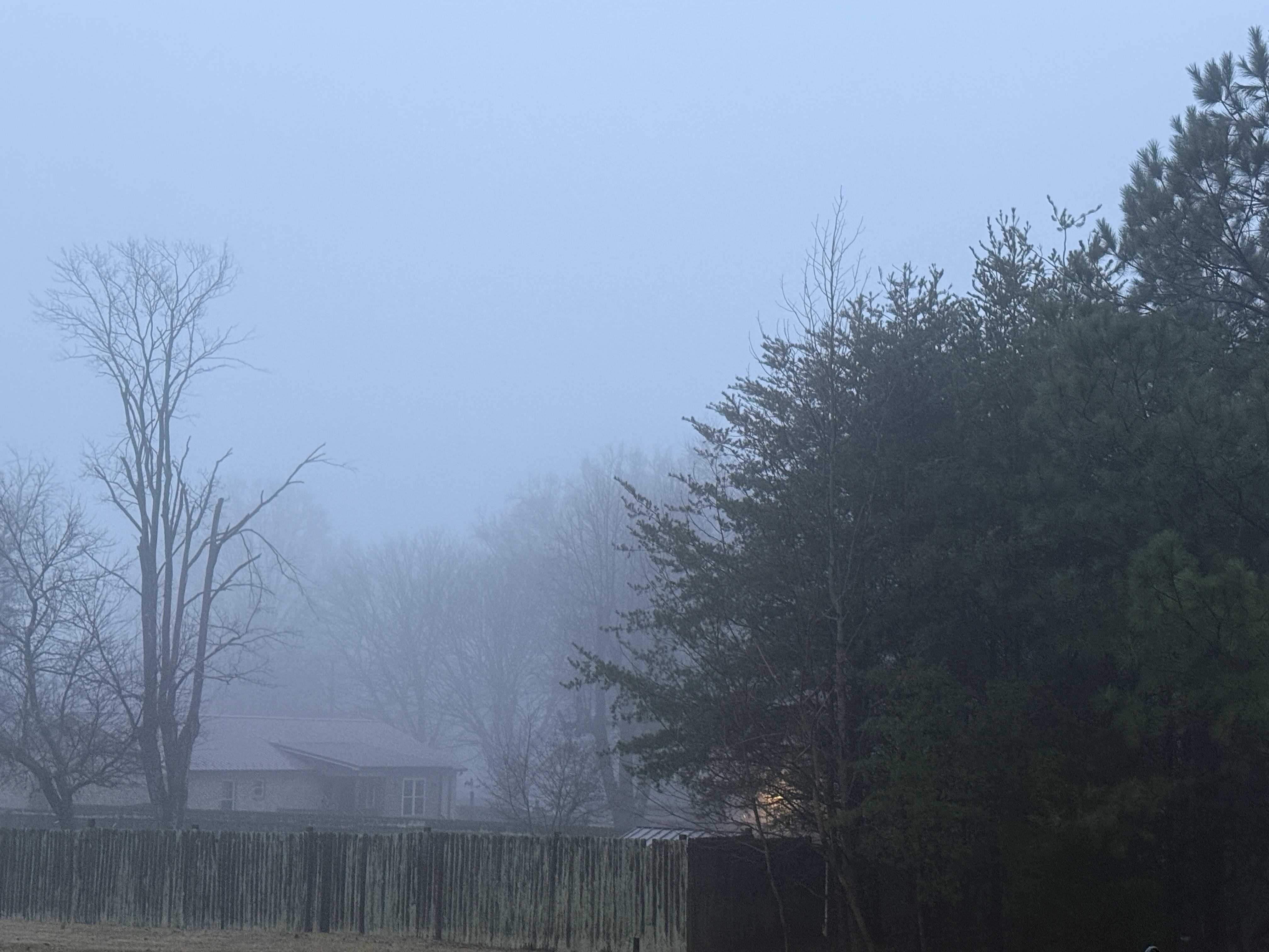 A landscape scene shrouded in heavy fog. In the foreground, a wooden fence runs horizontally across the bottom third of the image. Behind the fence, a small house with a rust-colored roof is partially visible through the fog. Bare trees with thin branches stand to the left of the house. To the right, evergreen trees are present. The sky is a pale, muted blue, blending seamlessly with the fog that obscures the background.