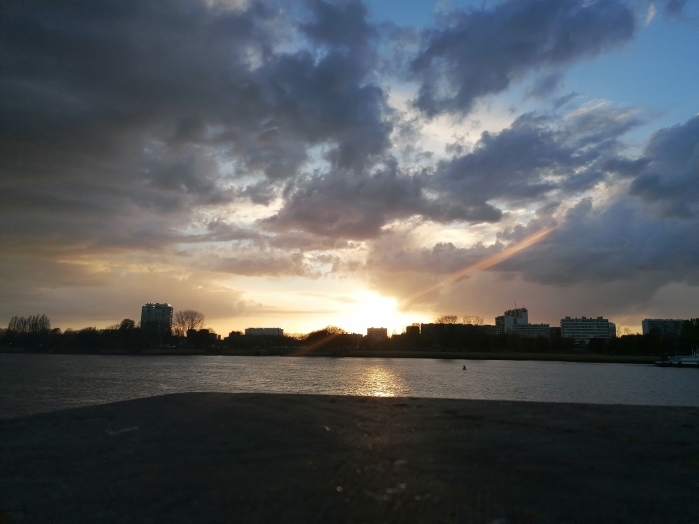 header profile