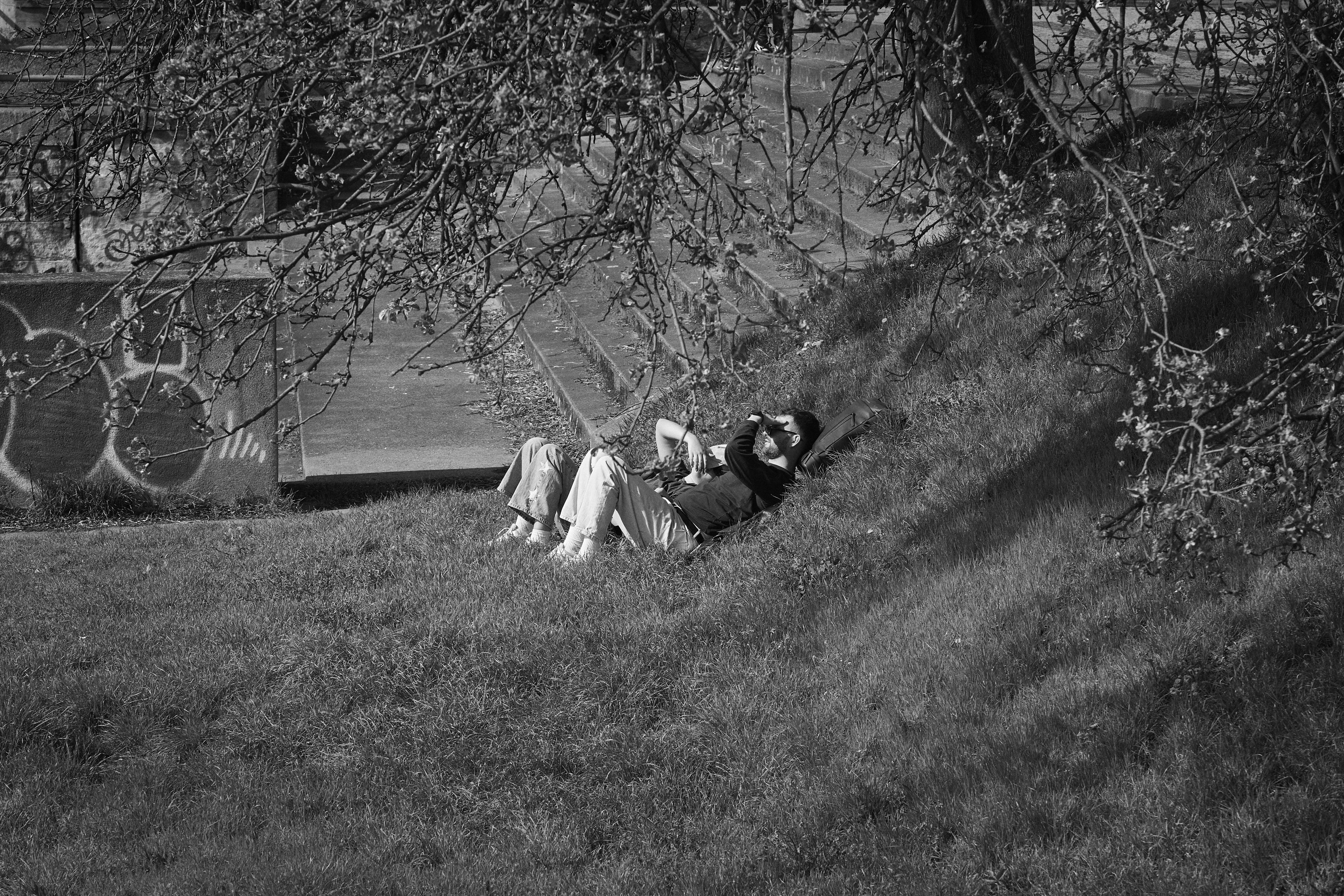 Two people lying on a grassy slope under overhanging tree branches.