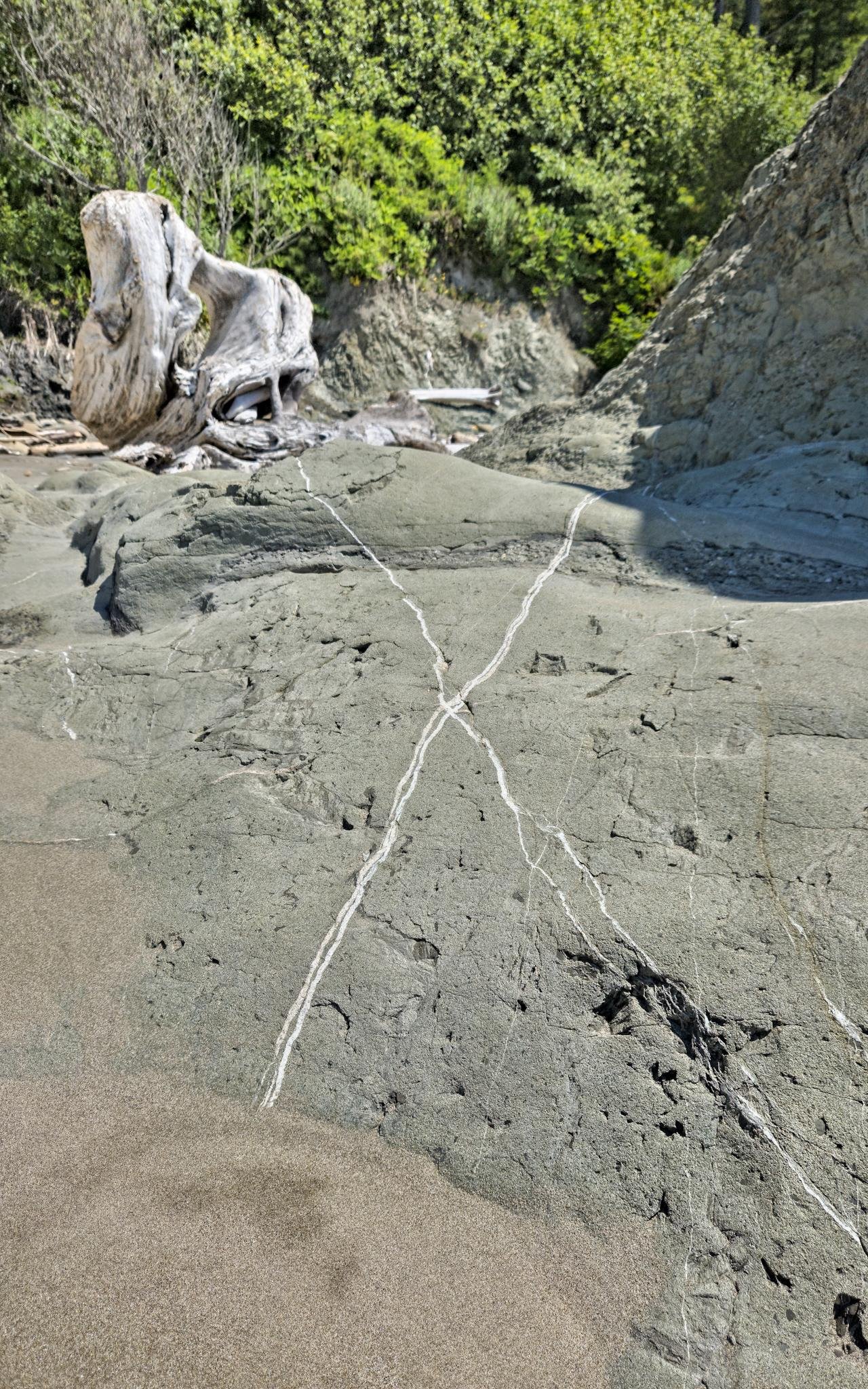 Large gray rock with intersecting white veins forming an "X" pattern, surrounded by sandy terrain. A weathered tree stump rests on the left side, partially embedded in the sand, with green shrubbery and a rocky slope in the background.