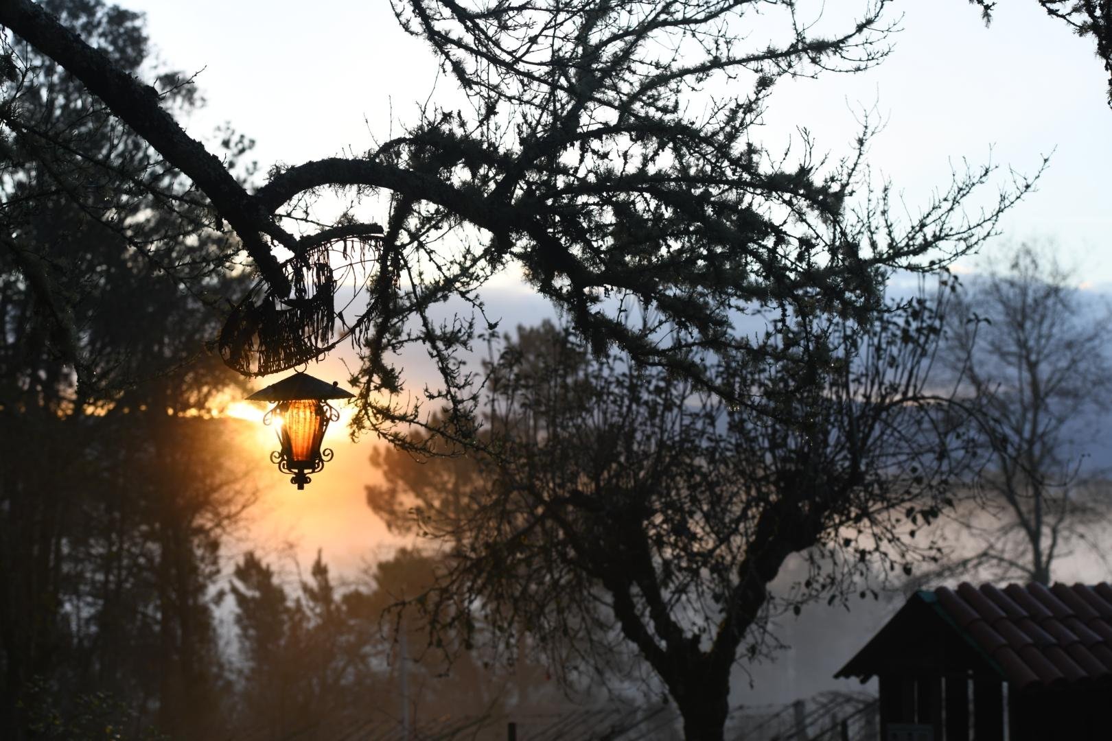 La luz del primer rayo de sol tras un farolillo.