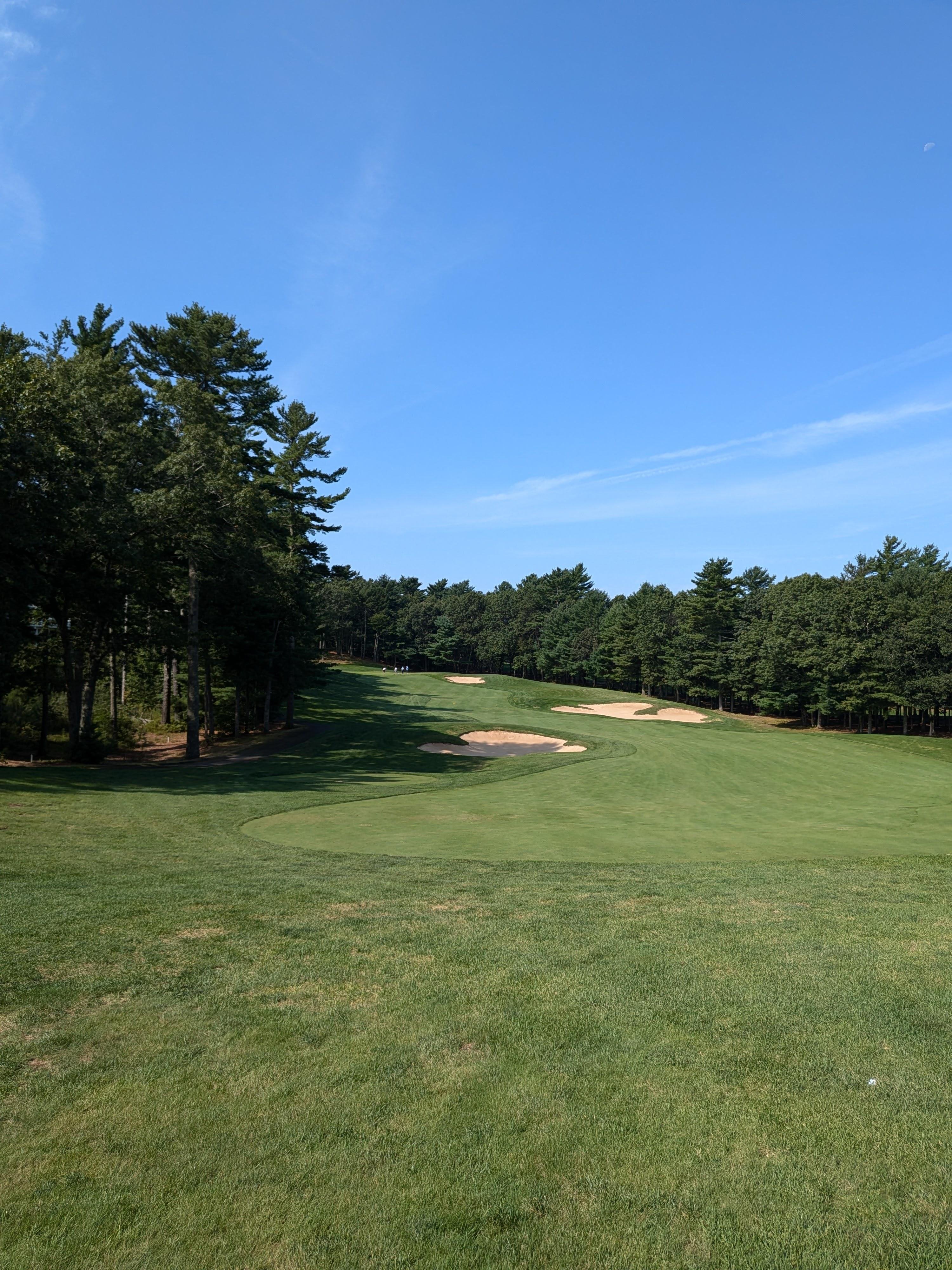 golf course with blue sky and green fairway