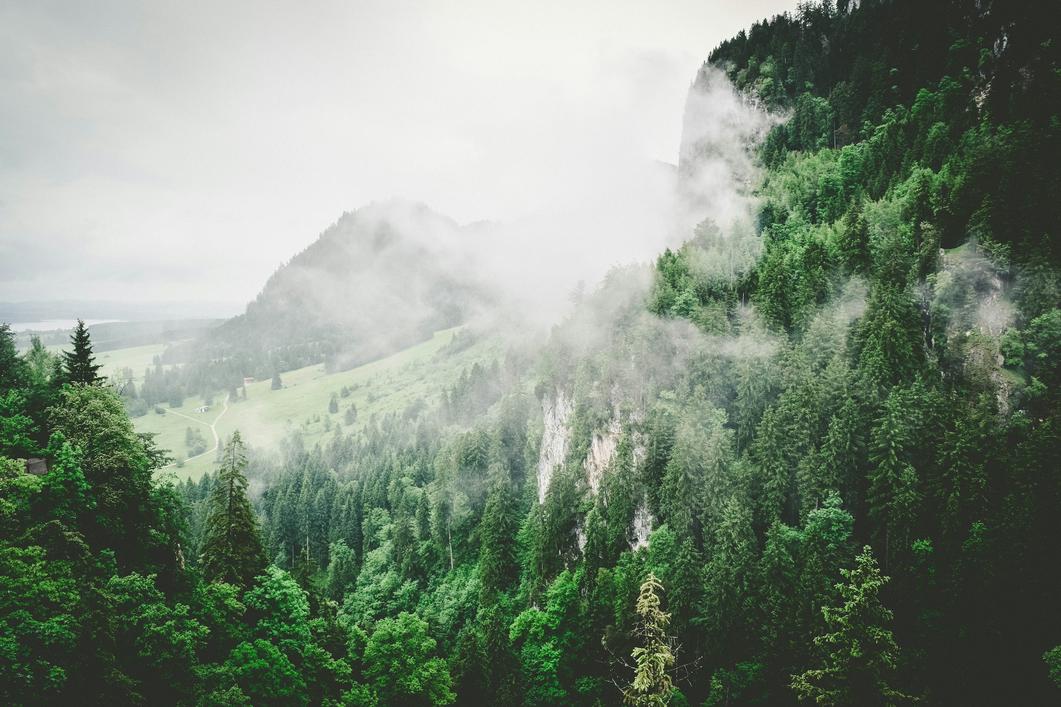 header profile