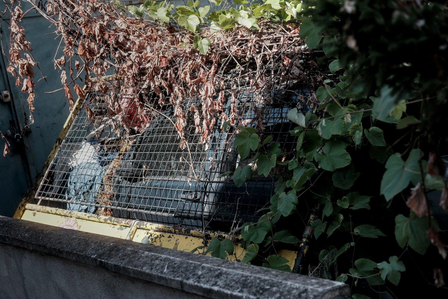 Photo horizontale. Un morceau de portail au bas jaune et haut en grillage couché sur le côté gauche d’une voiture verte, le tout envahis par la végétation. La scène est à moitiée au soleil avec des feuillages cramés, et l’autre à l’ombre, au feuillage encore vert