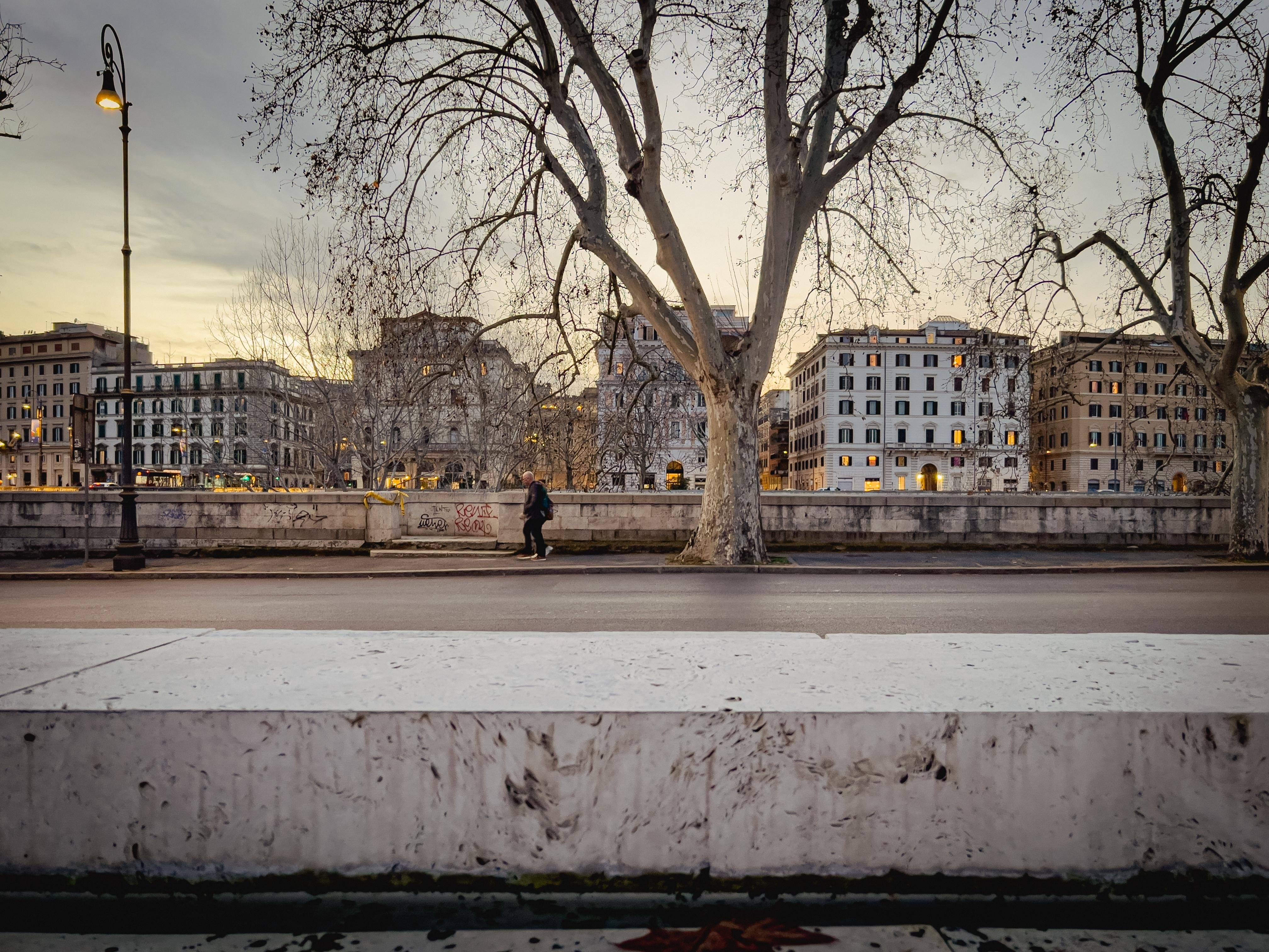 Paesaggio urbano di Roma al tramonto, con il Lungotevere in primo piano. Una barriera di cemento grezzo corre lungo il bordo inferiore dell'immagine, mentre una strada asfaltata si estende verso l'orizzonte. Un albero spoglio si erge al centro, incorniciato da edifici storici con facciate color crema. Una persona cammina solitaria sul marciapiede, e un lampione antico si staglia contro il cielo grigio-rosato del tramonto.