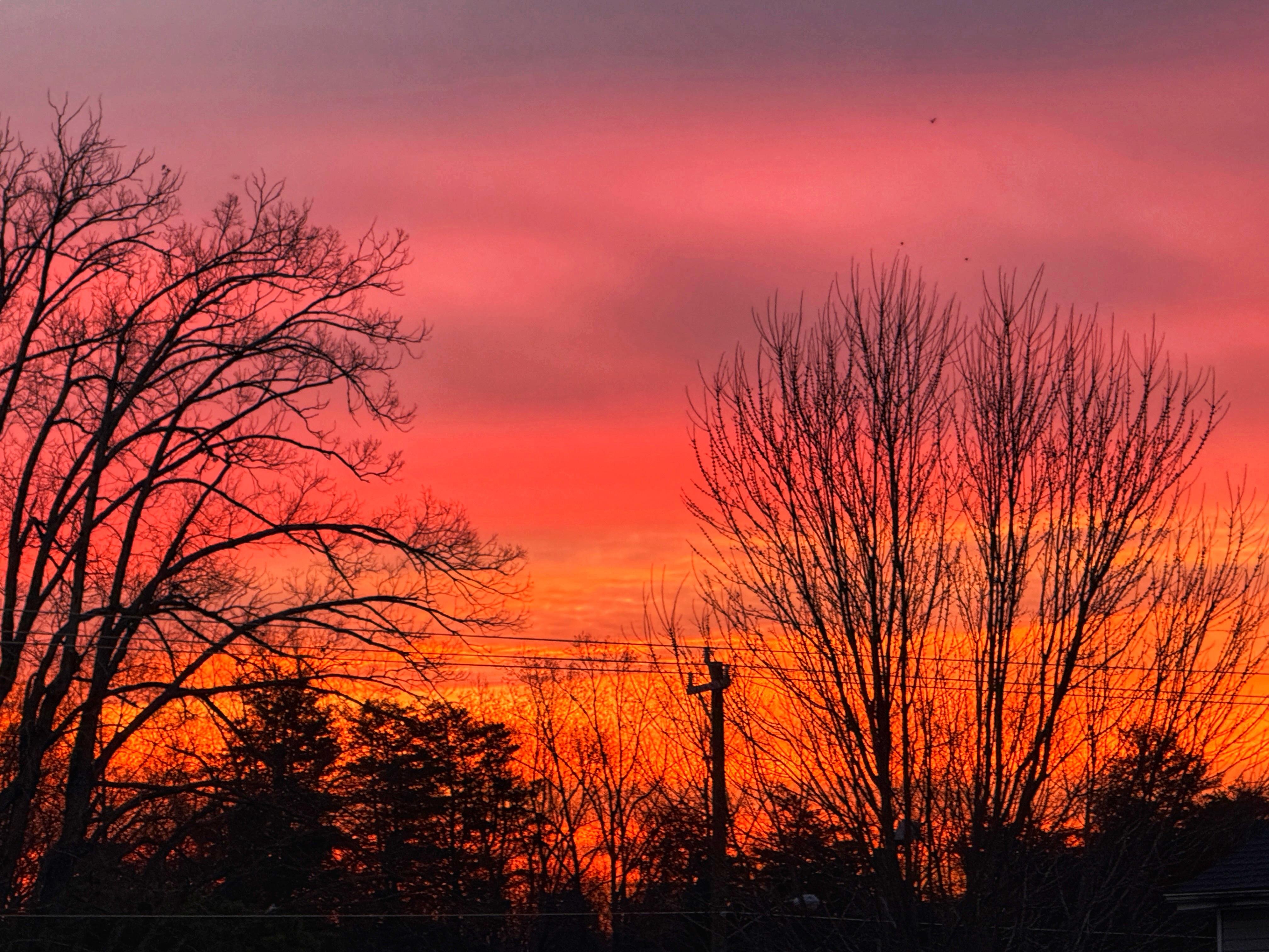 The image shows a vibrant sunset with a sky filled with shades of orange, pink, and red. There are silhouettes of leafless trees in the foreground, creating a striking contrast against the colorful sky. Power lines are also visible crossing the image horizontally.
