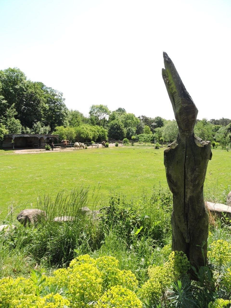 Wooden sculpture resembling a bird with a long beak on the right side, surrounded by lush greenery and yellow flowering plants in the foreground. A grassy field and several grazing animals are visible in the background, with dense, leafy trees bordering the scene under a bright, clear sky.