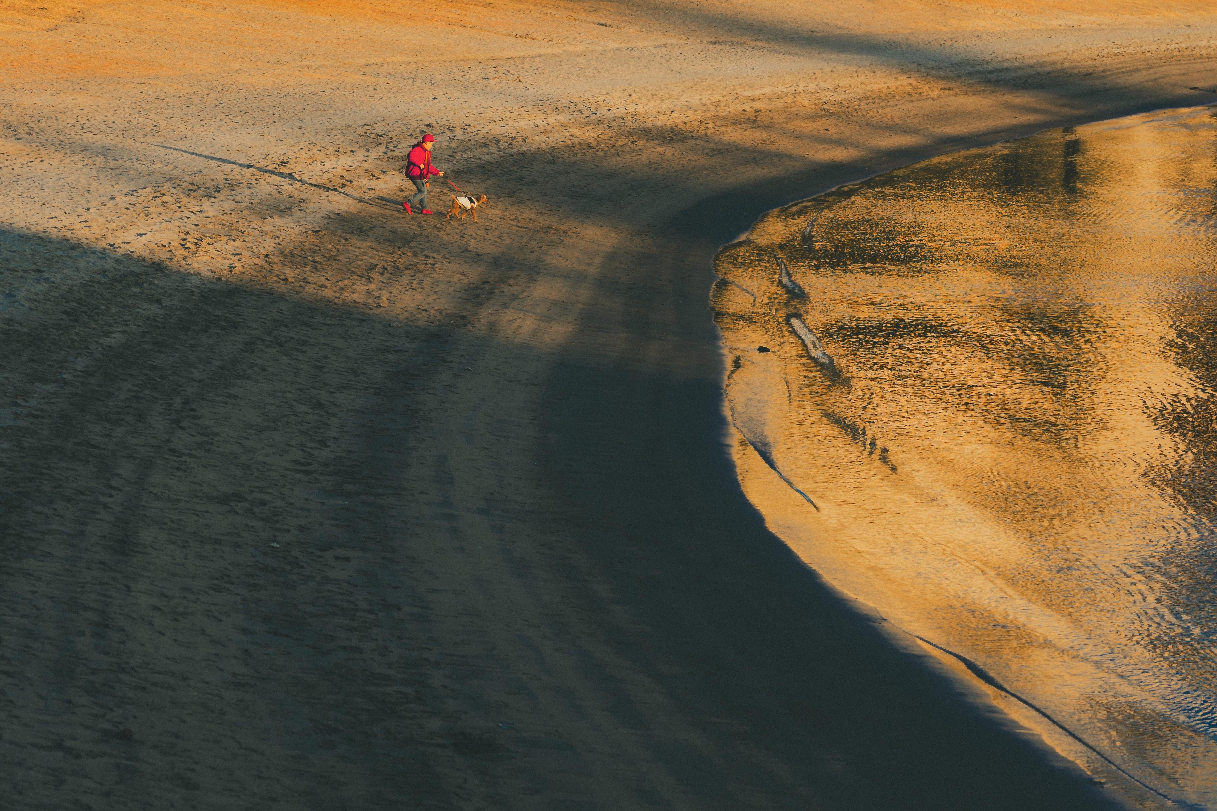 The image shows a person walking a dog along a curved path or beach. The scene includes interesting lighting and shadows, with part of the area reflecting light, possibly from water, creating a warm, golden tone. The overall atmosphere suggests a calm, outdoor setting.