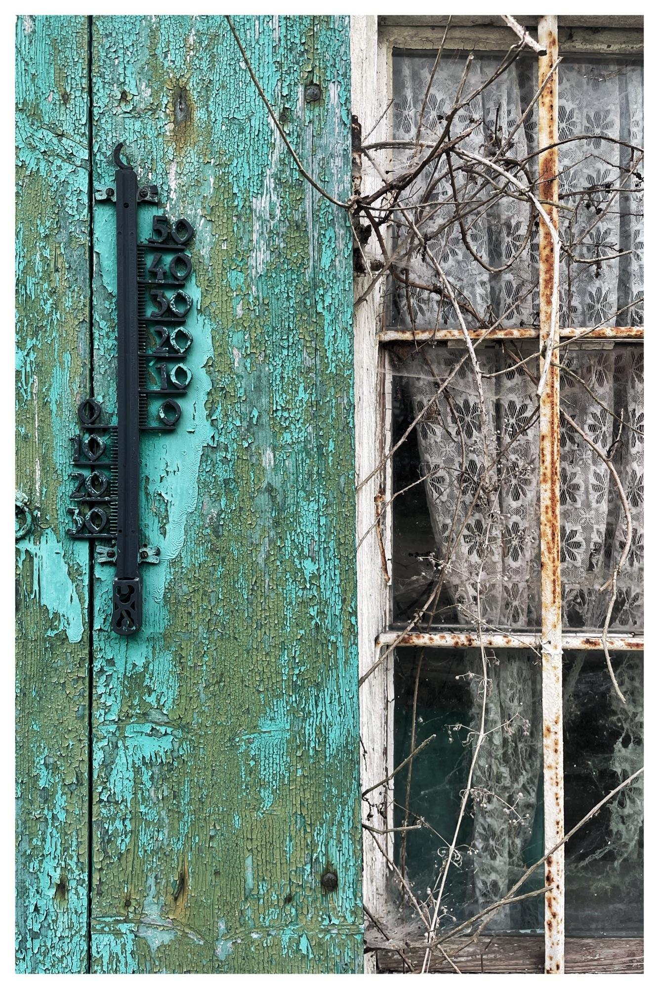 Weathered turquoise wooden door with peeling paint, featuring a black metal thermometer attached. Adjacent to the door is a rustic window with rusted metal frames, partially covered by lace curtains with floral patterns. Twisting vines grow around the window, adding an element of natural decay.