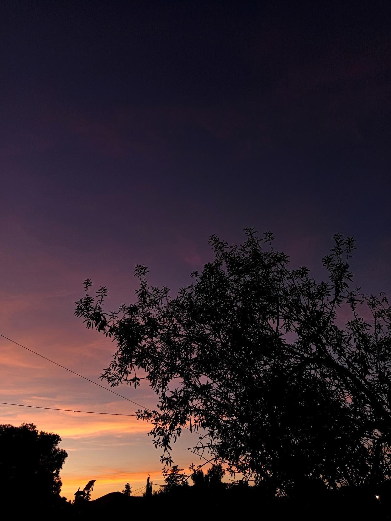 Foto de un atardecer en el campo con colores azules, violáceos y anaranjados. A contraluz se ve un árbol y el horizonte de árboles y casas