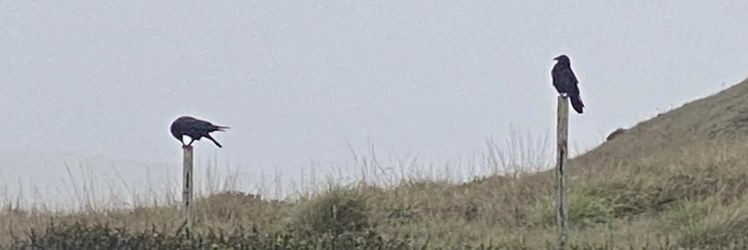 header profile