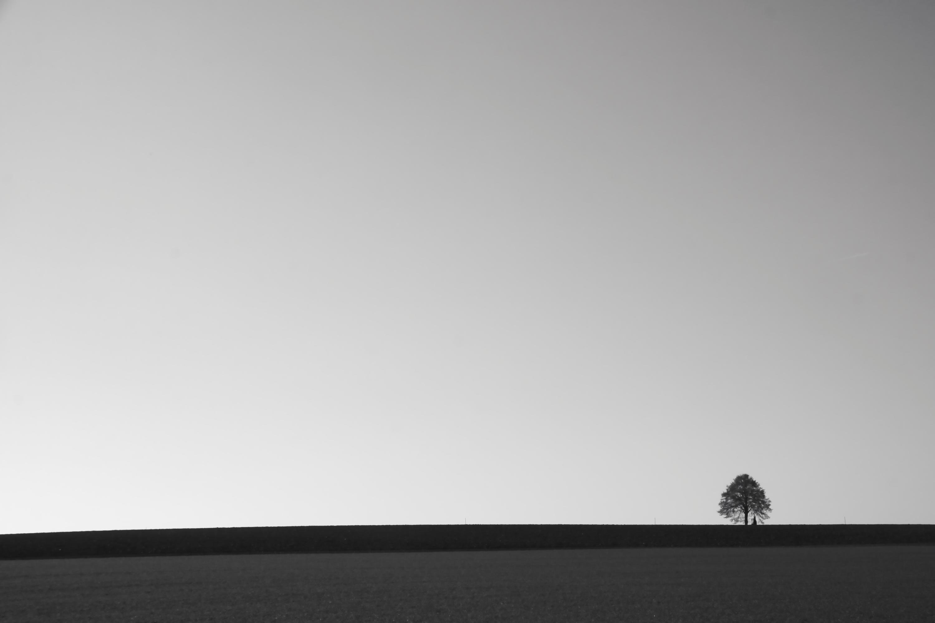 Black-and-white minimalist landscape with a wide empty sky, a dark horizontal strip of land across the bottom, and a single tree near the far right edge on the horizon.