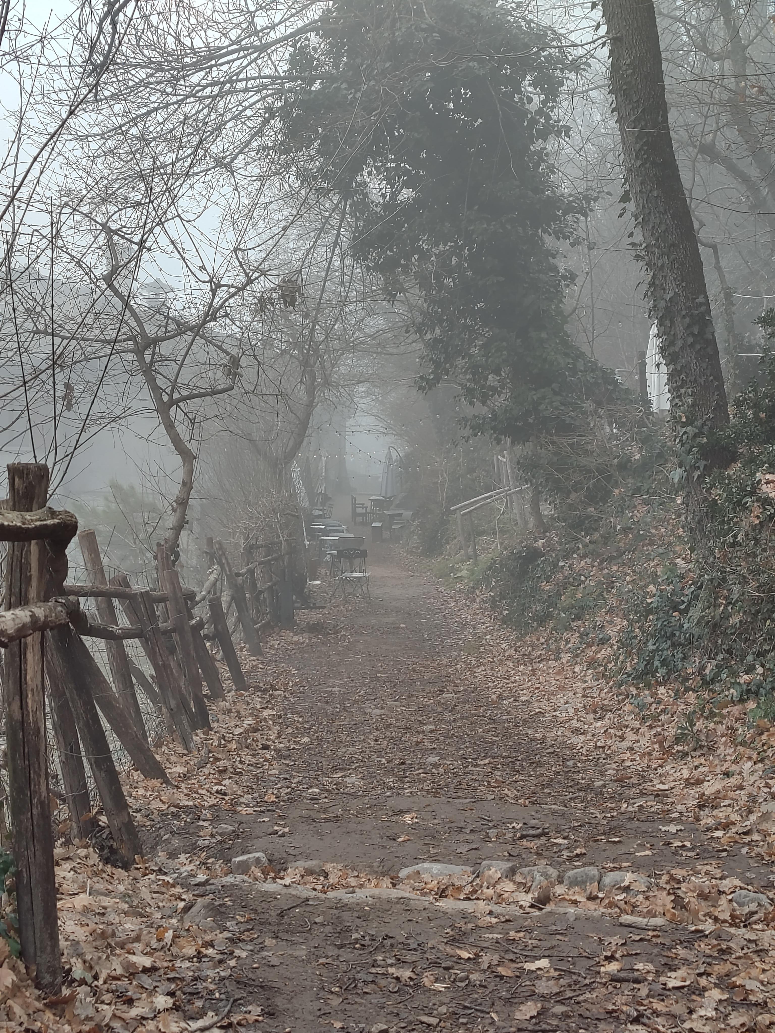 The image shows a narrow, foggy path lined with bare trees and a rustic wooden fence on the left. The ground is covered with dry leaves, and there are some tables and chairs further down the path, suggesting it's an outdoor area, perhaps in a park or garden setting. The atmosphere is serene and slightly mysterious due to the fog.