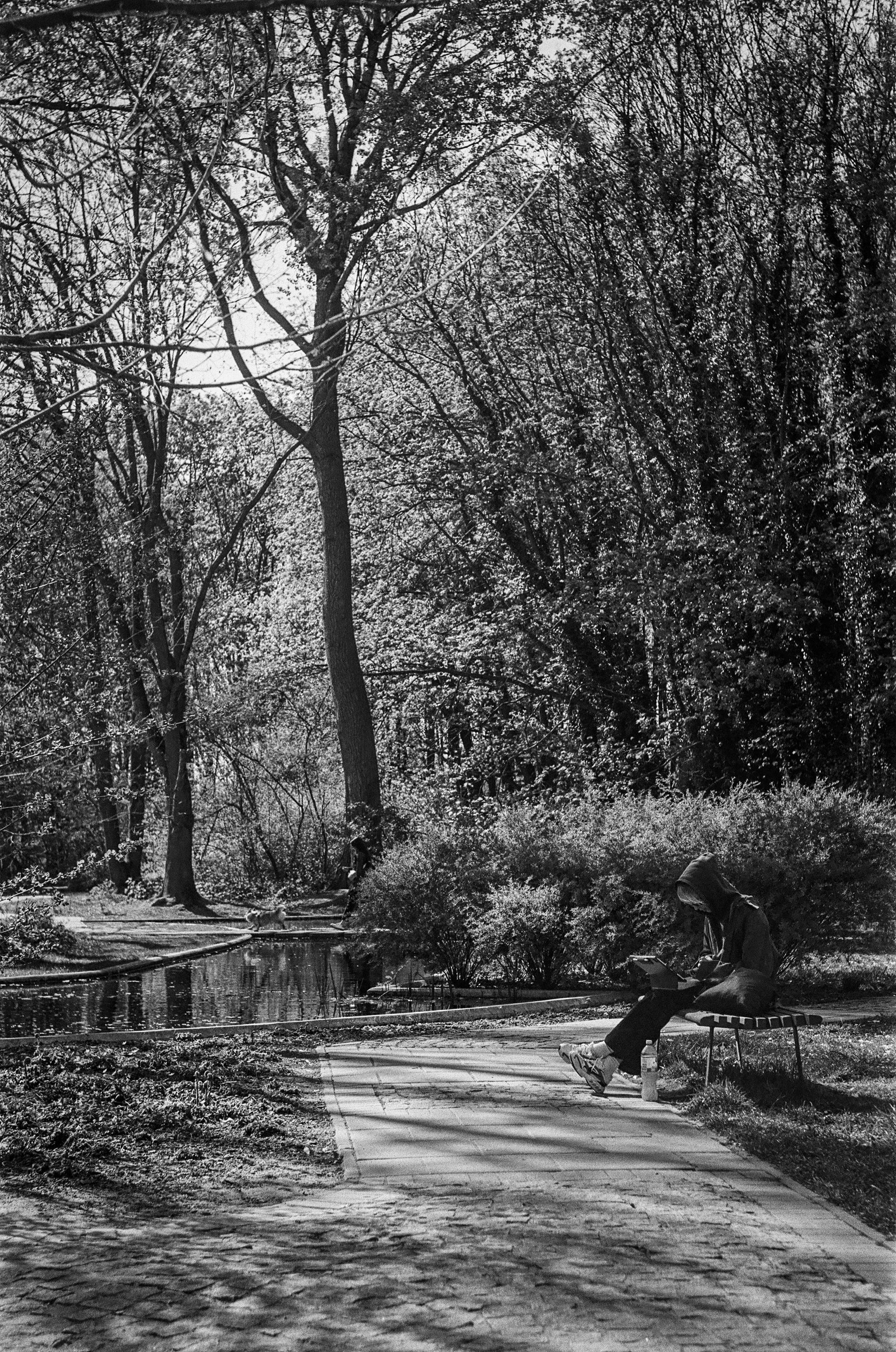B&W film photo of a person sitting on a bench in a park