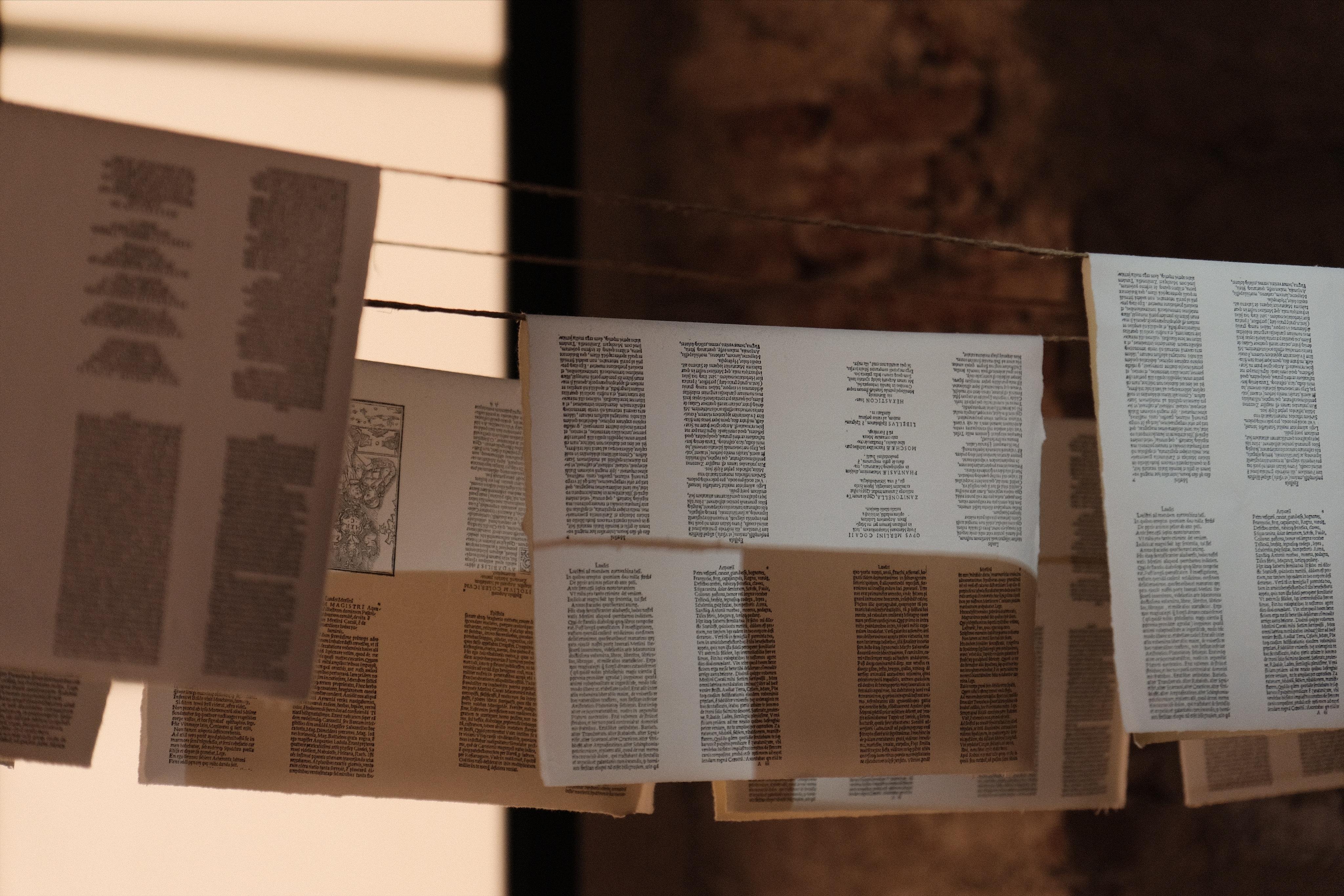 Several layers of sheets of paper with text printed on them hanging on lines for drying.