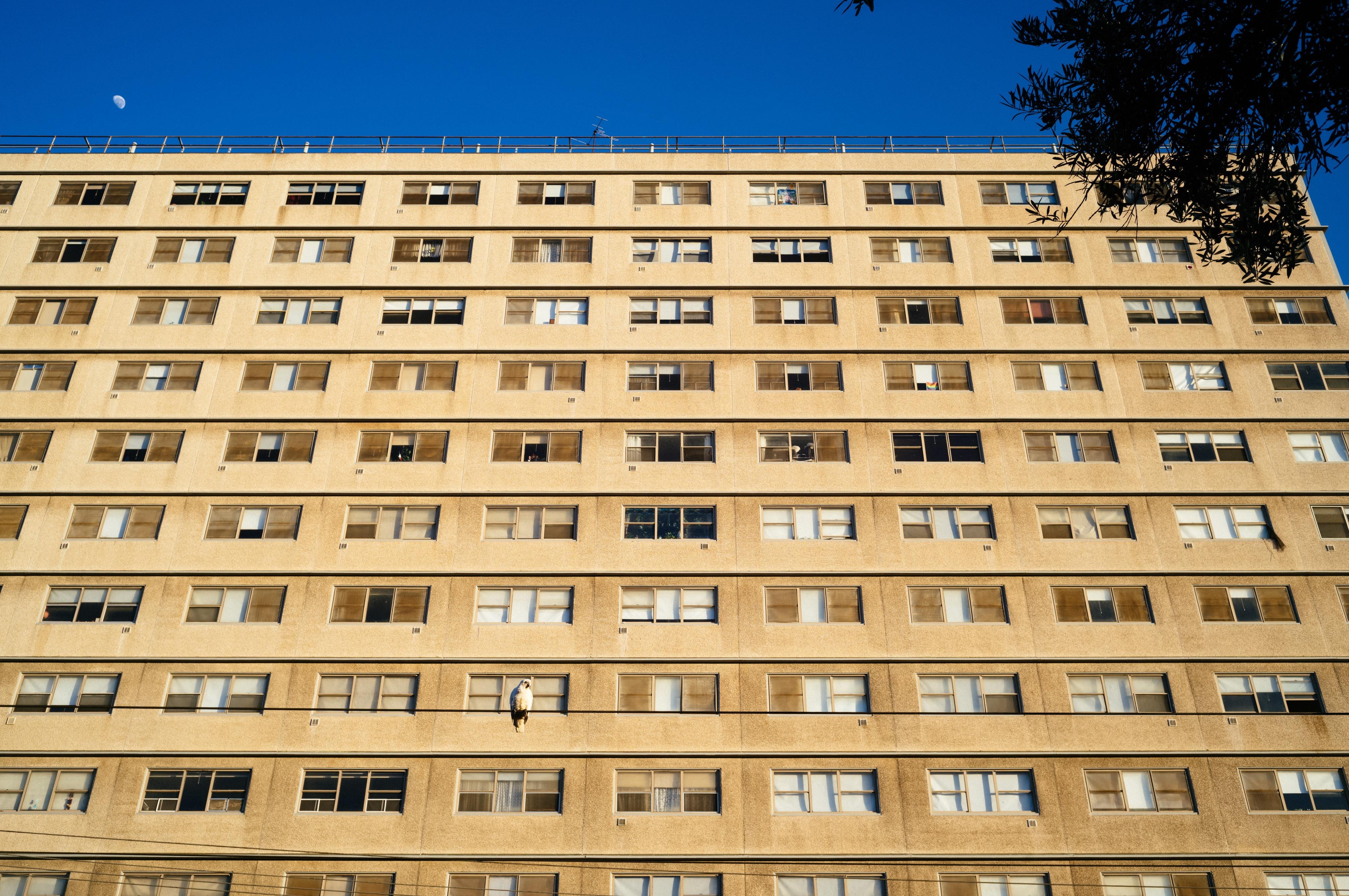 Looking upwards at 10 storeys of an apartment building, all with the same kinds of windows, nearly filling the frame apart from a little bit of blue sky above, with a moon at the top left and part of a tree at the top right.

A wire from a tram line follows along in front of the third row of windows from the bottom; a sings white bird (a Corella) sits on the wire.