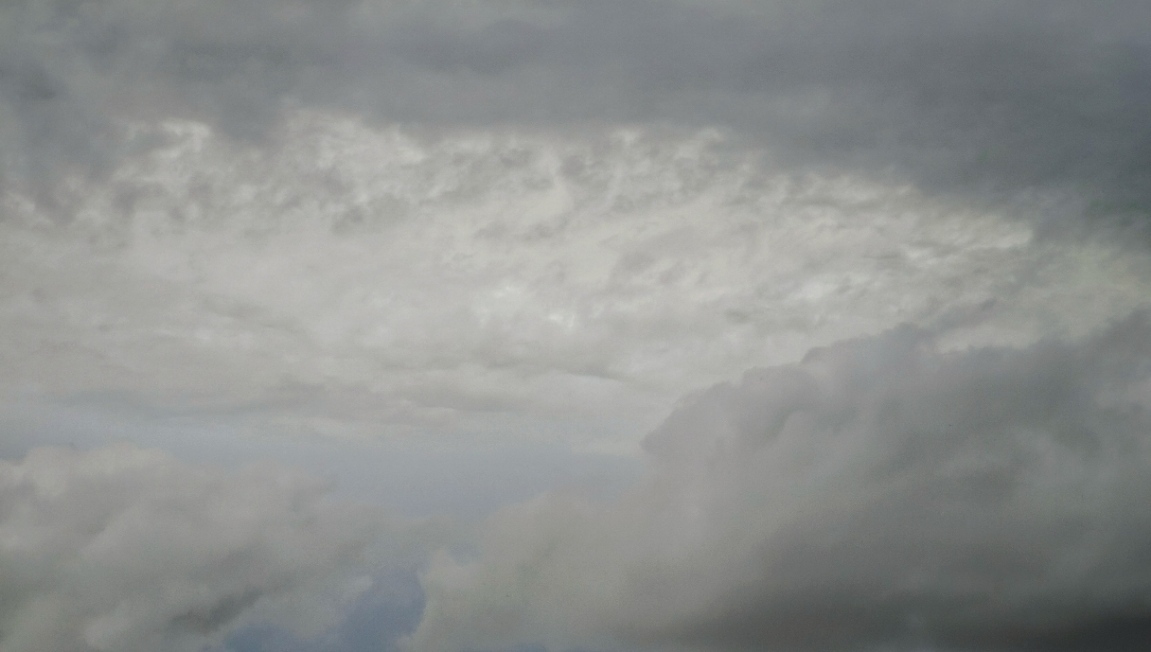 header profile