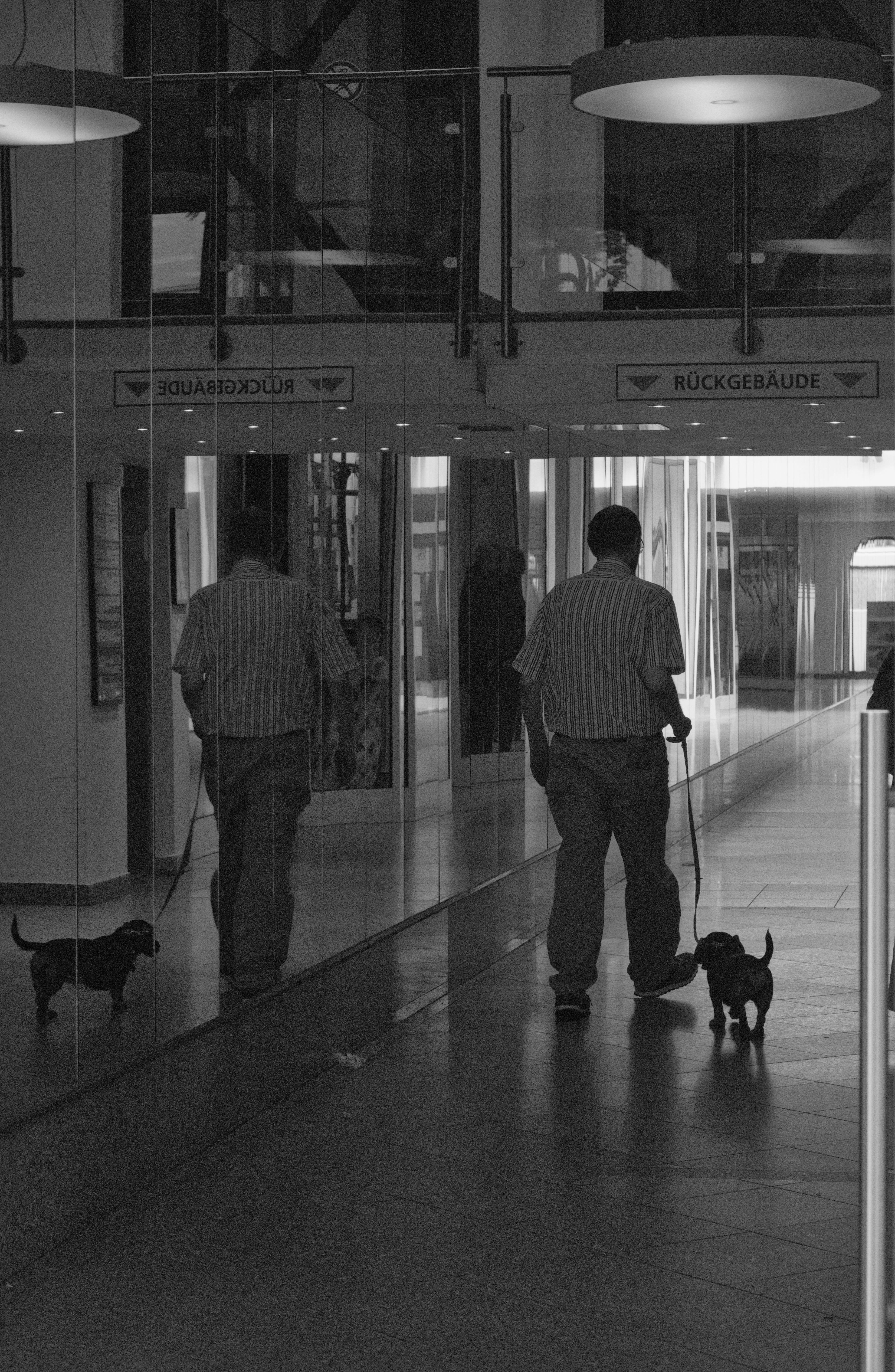Man walking a small dog on a leash down an indoor corridor beside a mirrored wall, with the man and dog reflected; overhead German directional signs read “RÜCKGEBÄUDE.”