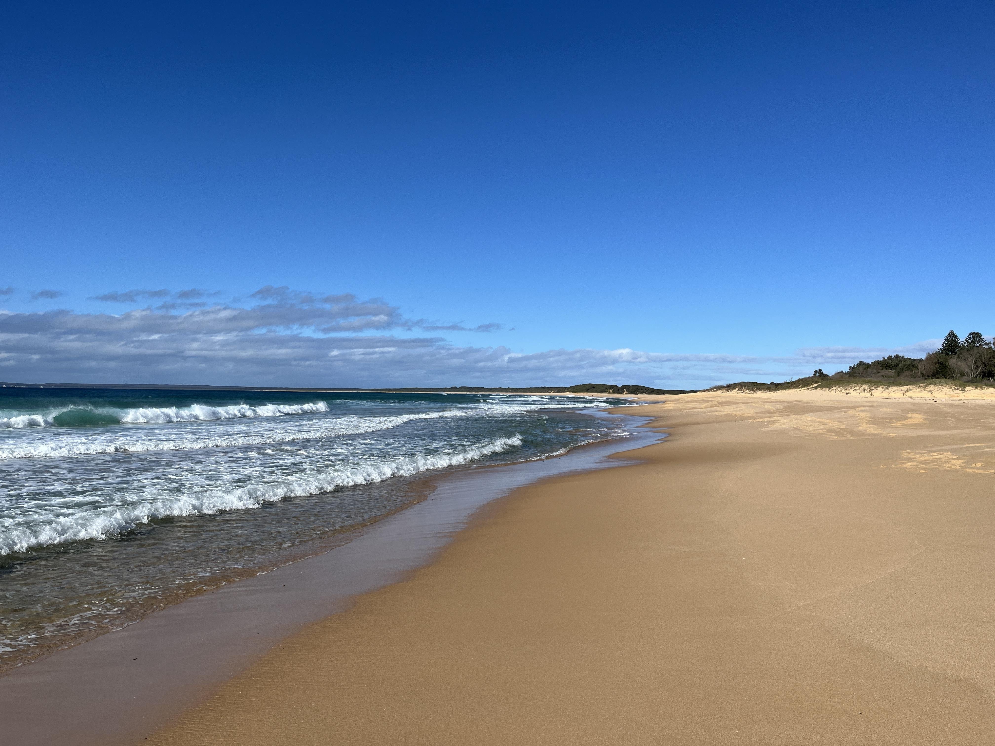 Sunny beach scene with a stretch of sandy shore on the right and ocean waves rolling in from the left. The horizon shows a clear, blue sky with scattered clouds. Lush greenery is visible in the background along the shoreline.