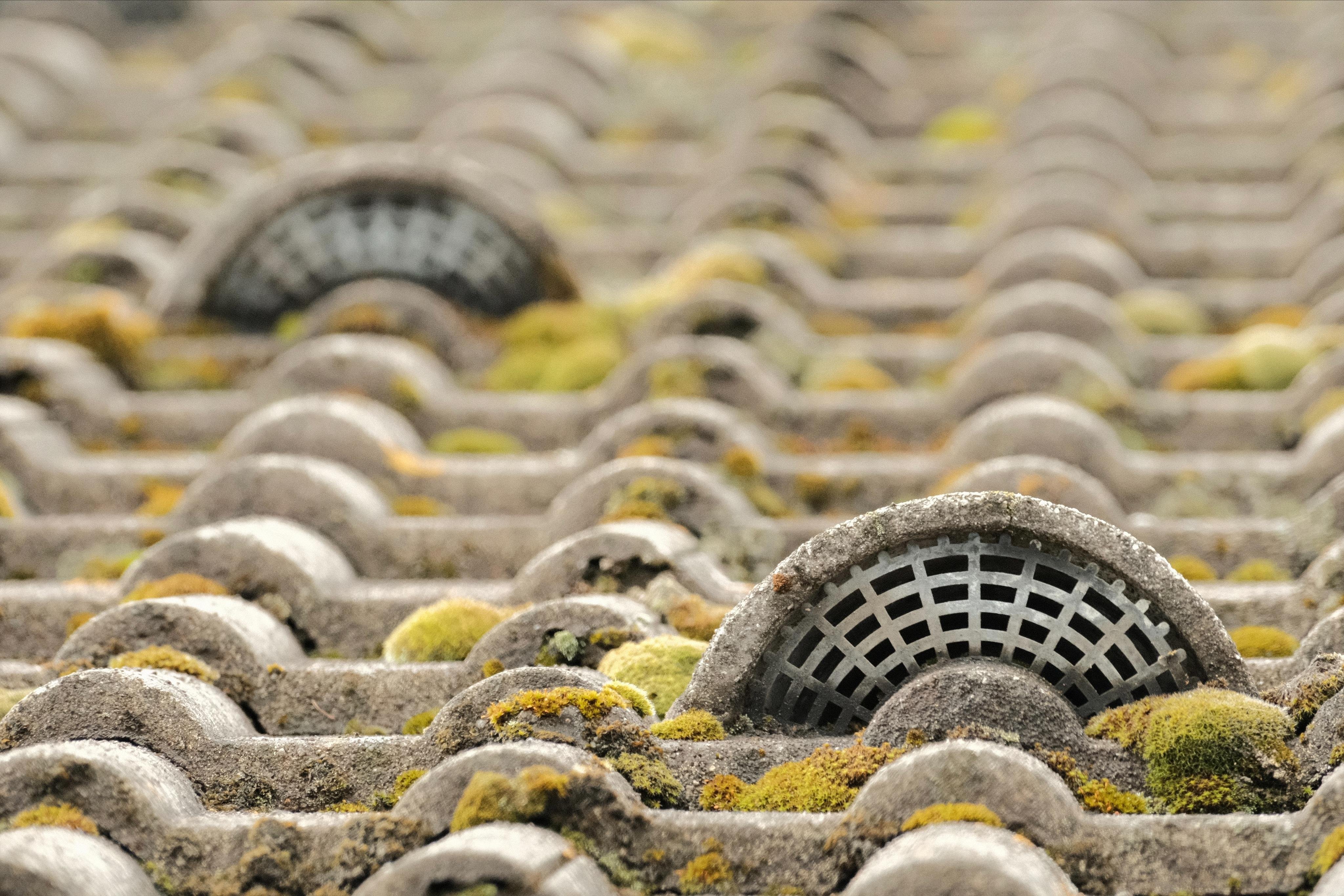 Close-up of a tiled rooftop from below in a very shallow angle. The tiles are partly covered with moss. From this perspective the rows of tiles appear tightly packed, creating a texture-like pattern. 

In the foreground to the right, one special tile emerges from the others in an arch, that provides a ventilation opening in the roof. The opening is covered by a metal plate with small holes, that are also arranged in concentric arches.

In the background to the left there is a similar ventilation tile, but it is very out of focus.