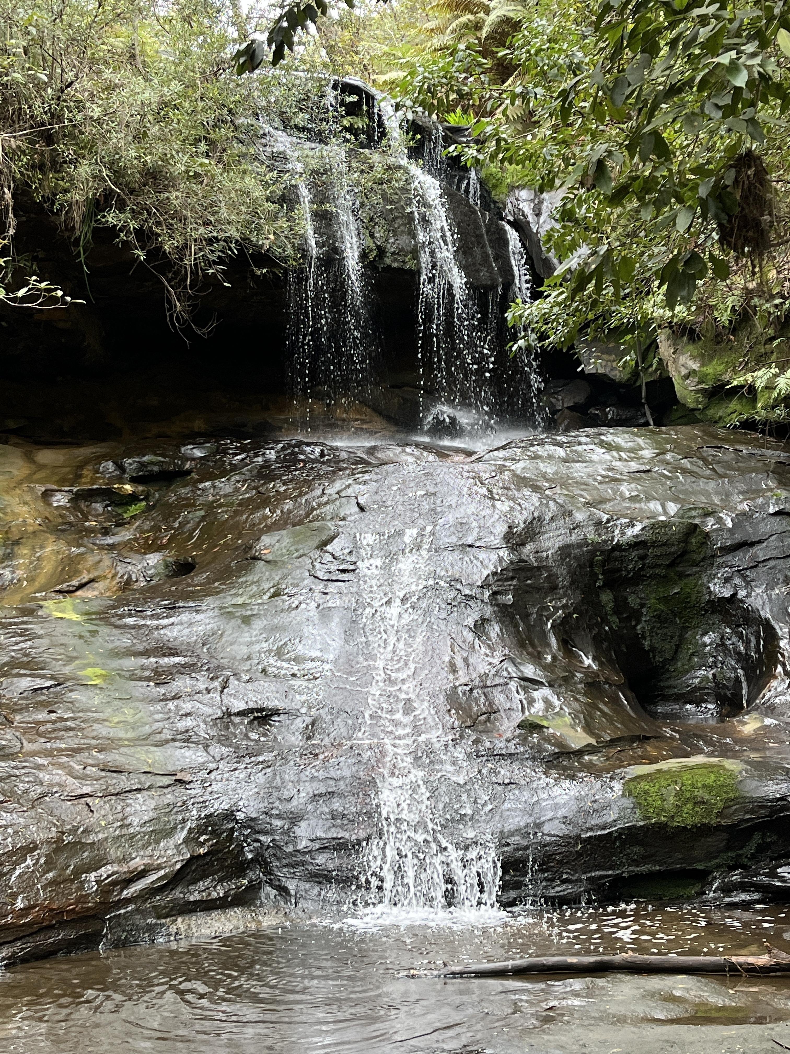 (Fairy Falls) Small waterfall cascading over dark, moss-covered rocks into a shallow pool. Surrounded by dense greenery, including ferns and overhanging branches. Wet stone surfaces glisten with water, reflecting natural light.