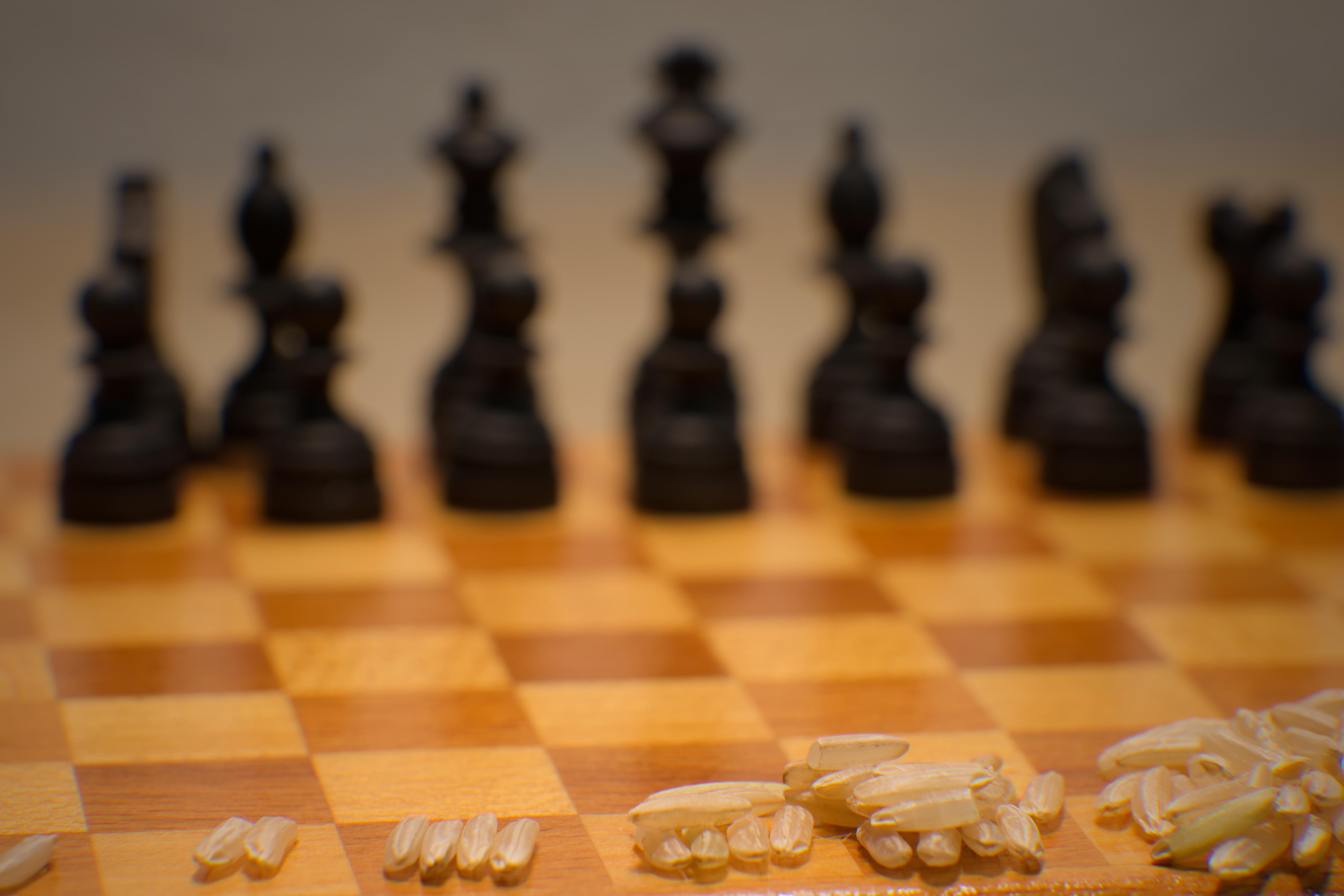 Reiskörner auf einem Schachbrett vor unscharfen schwarzen Schachfiguren, als Symbol für das Schach- und Reiskorn-Mathematikproblem, in Nahaufnahme fotografiert. Auf dem ersten Feld liegt ein Korn, dann zwei, vier und acht, danach ist nur noch ein großer Haufen zu erkennen.