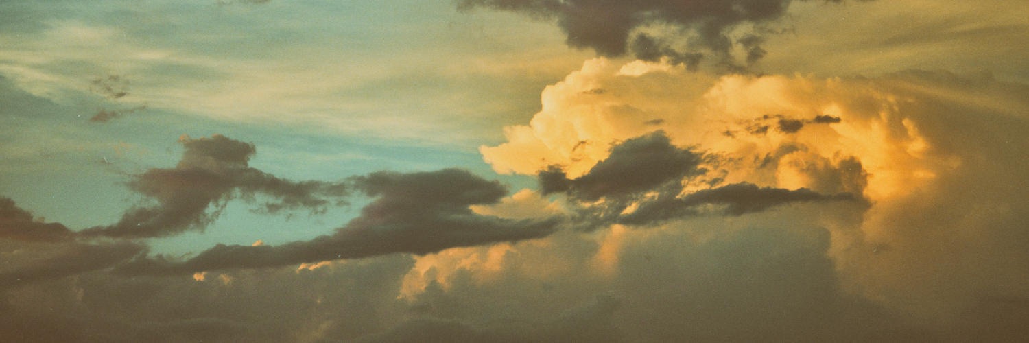 header profile