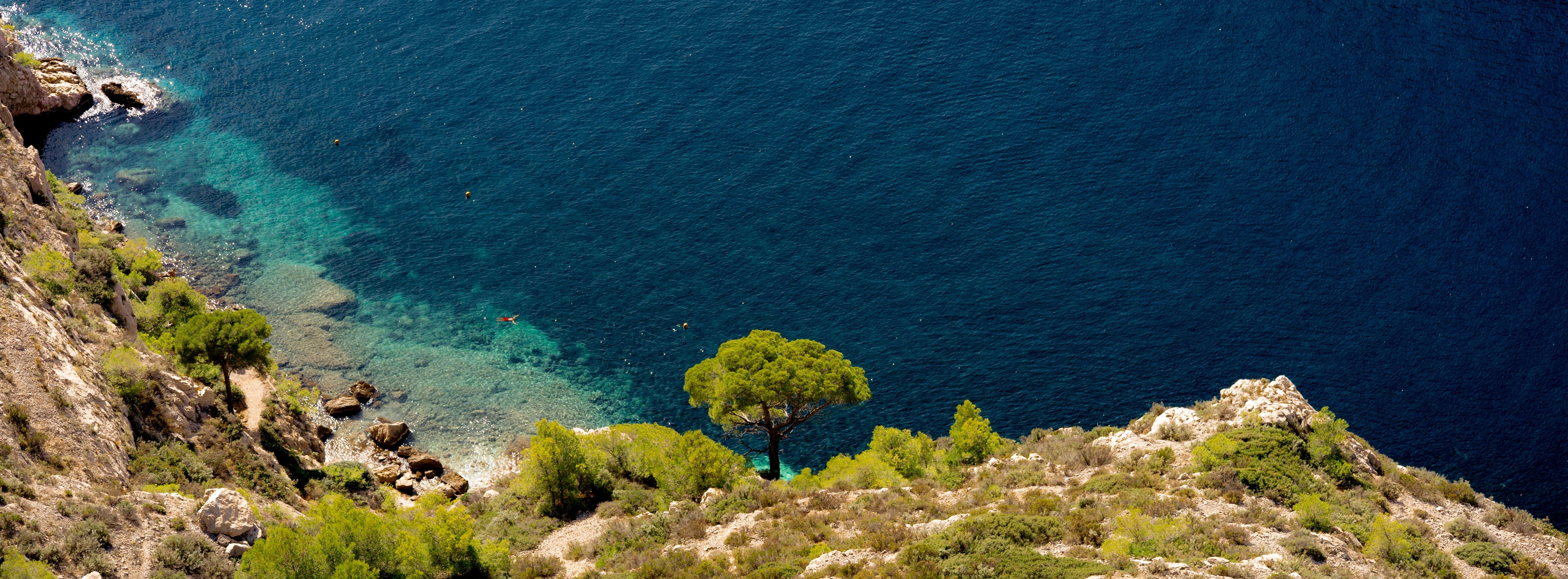 Steep rocky cliff with sparse vegetation and a lone tree, overlooking a clear, deep blue sea. The coastal water near the shore gradually shifts to lighter turquoise, suggesting shallow depths.
