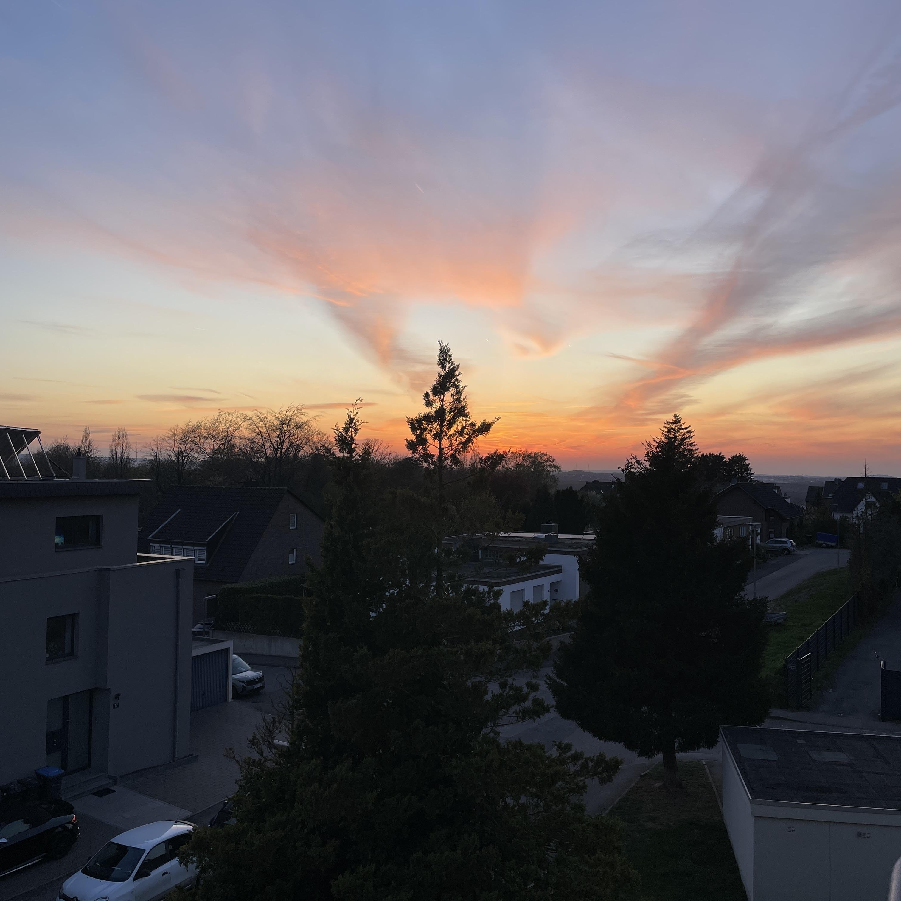 Das Bild zeigt einen Sonnenuntergang über einer Wohngegend. Der Himmel ist in warmen Orangetönen und rosa-violetten Farbtönen gehalten, mit zart verlaufenden Wolken, die sich strahlenförmig um die untergehende Sonne verteilen. Im Vordergrund stehen dunkelgrüne Nadelbäume, die vor einem Hintergrund von Häusern mit dunklen Dächern und hellen Fassaden stehen. Autos sind auf einer Straße zwischen den Häusern zu sehen. Die Szene wirkt ruhig und friedlich, mit einem Hauch von Melancholie durch das allmähliche Verschwinden des Lichts.
