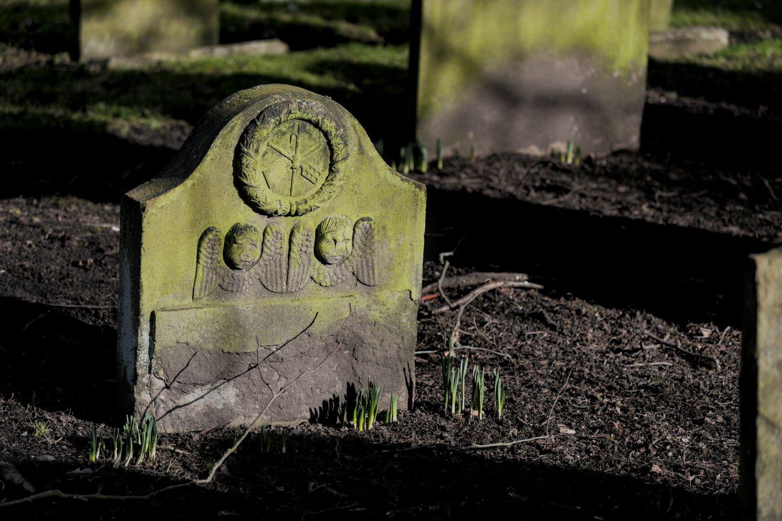 Photo horizontale. Une petite pierre tombale ancienne, couverte d’une fine mousse verte. Éclairée par le soleil. À ses pieds, des jeunes pousses percent à travers la terre